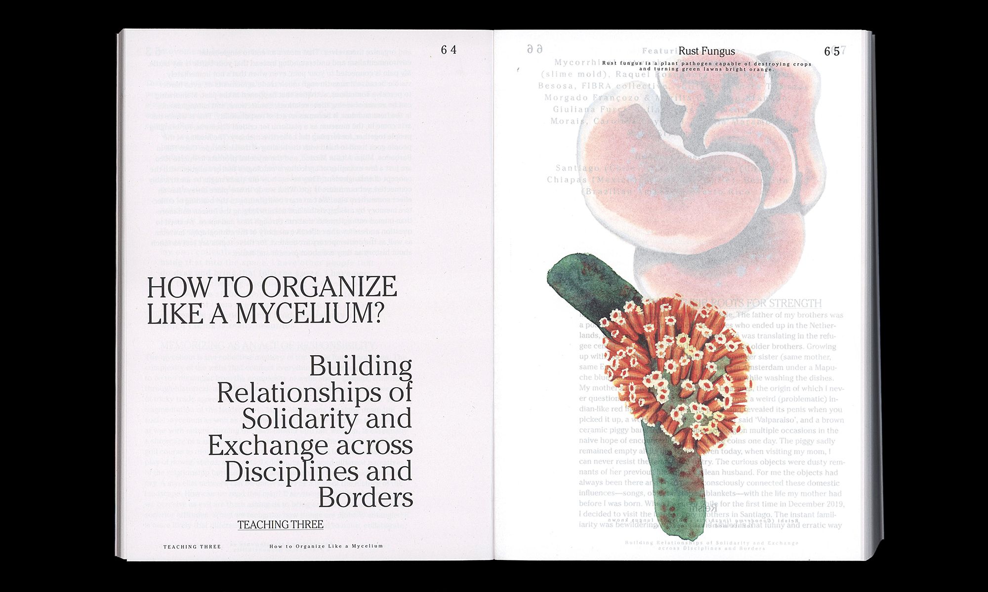 Open book with an article titled "How to Organize Like a Mycelium?" on the left page and an illustration of rust fungus on the right page.