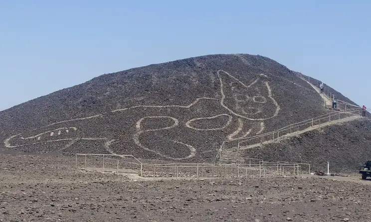 A large ancient geoglyph of a cat etched into the hillside at the Nazca Lines site in Peru.