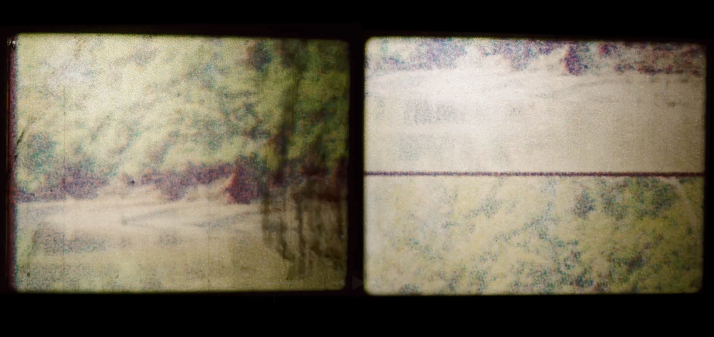 A close-up of grainy twin film frames showing abstract, faded imagery of trees and landscape.