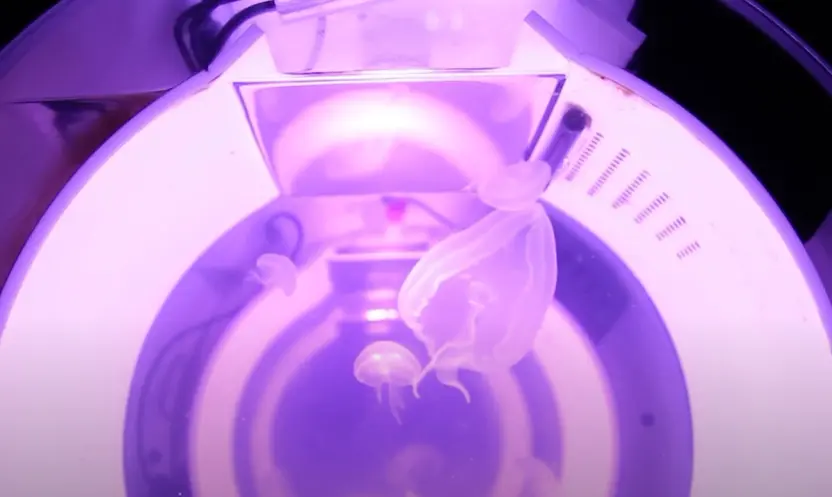White medusa-like figures displayed within a metallic machine, bathed in an ethereal glow of violet light.