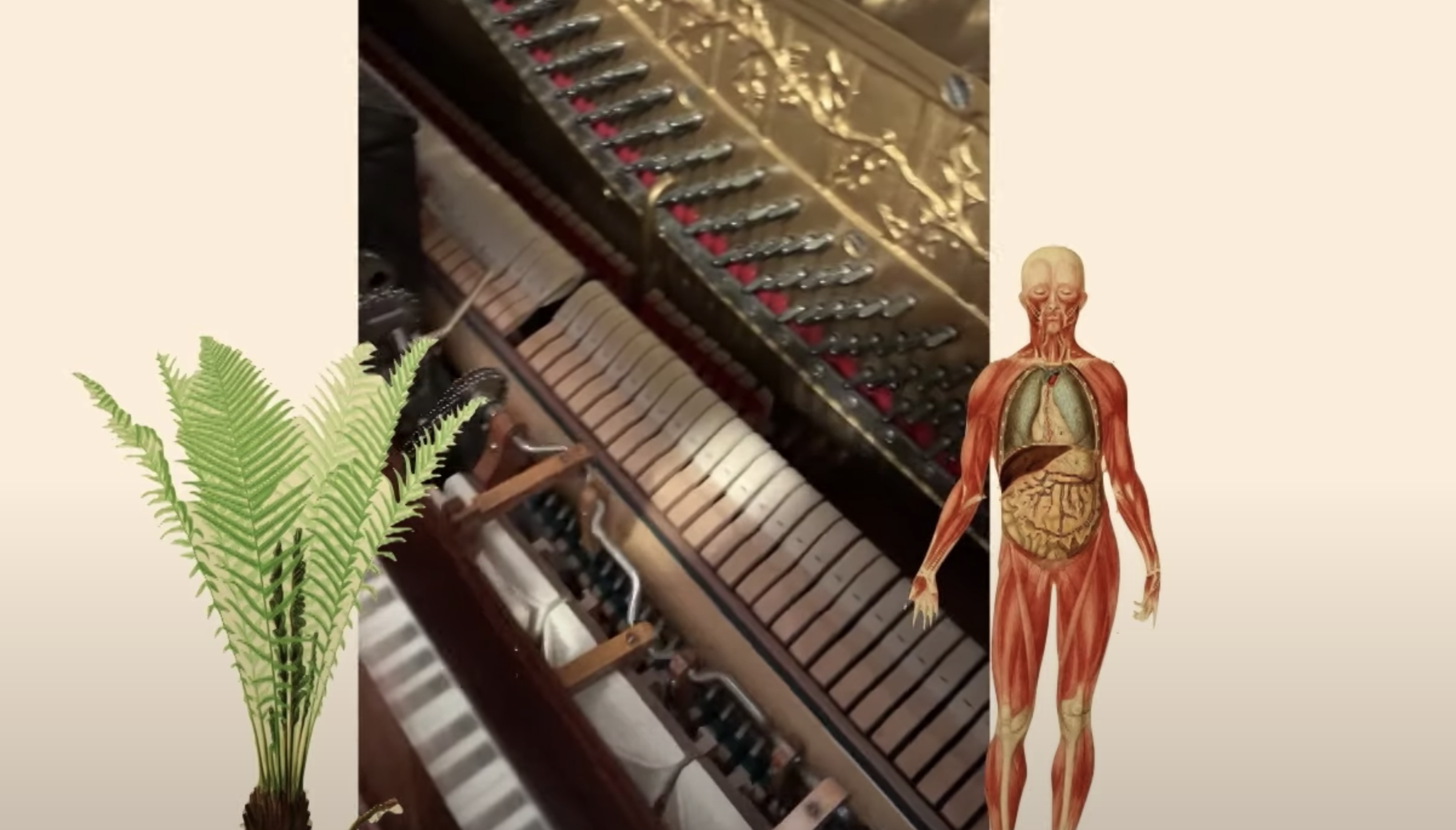 Inside view of a piano showing strings and hammers, with a lush house plant to the left and an anatomical drawing of the h...