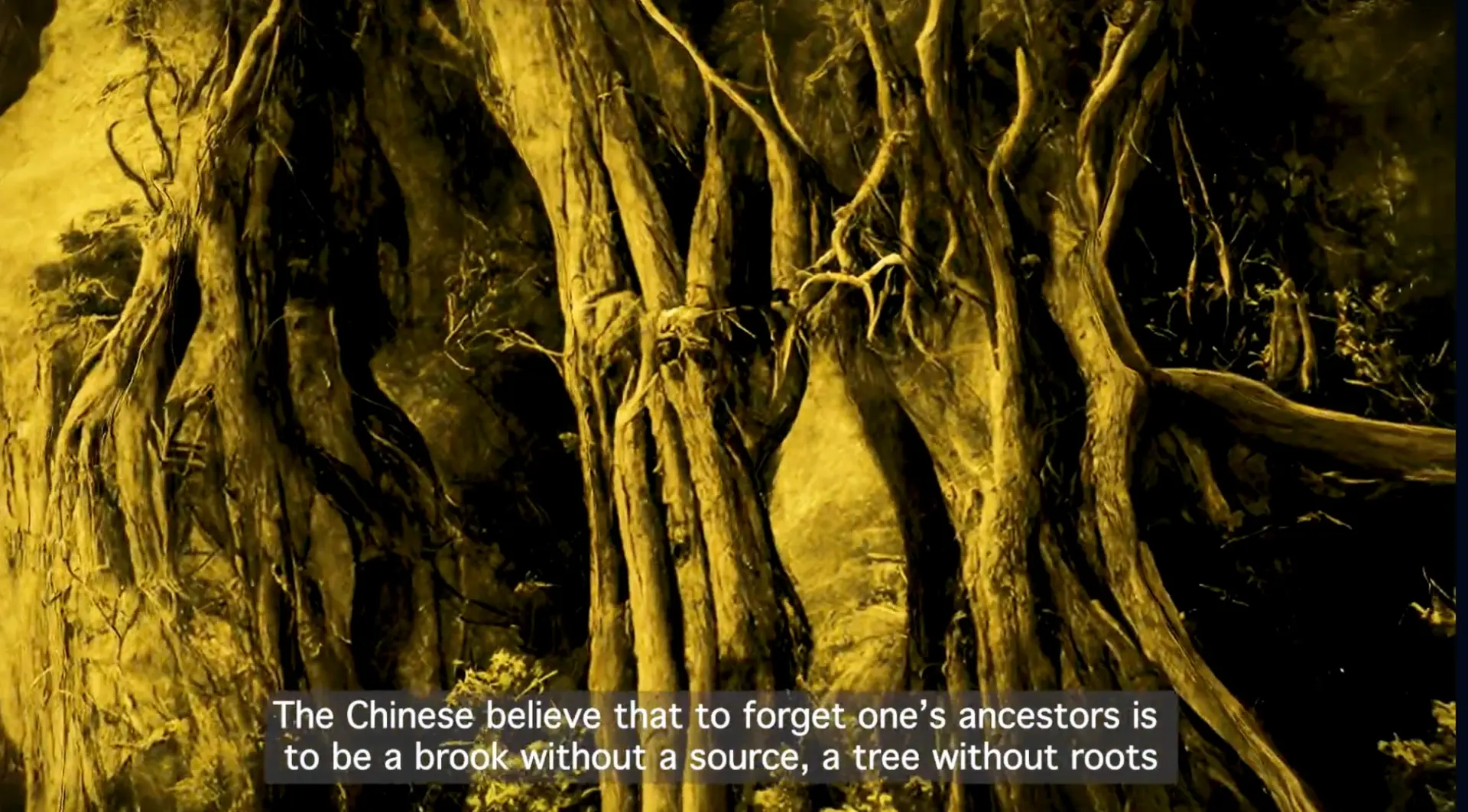 Sepia-toned twisted tree roots with text about forgetting one’s ancestors being like a tree without roots.