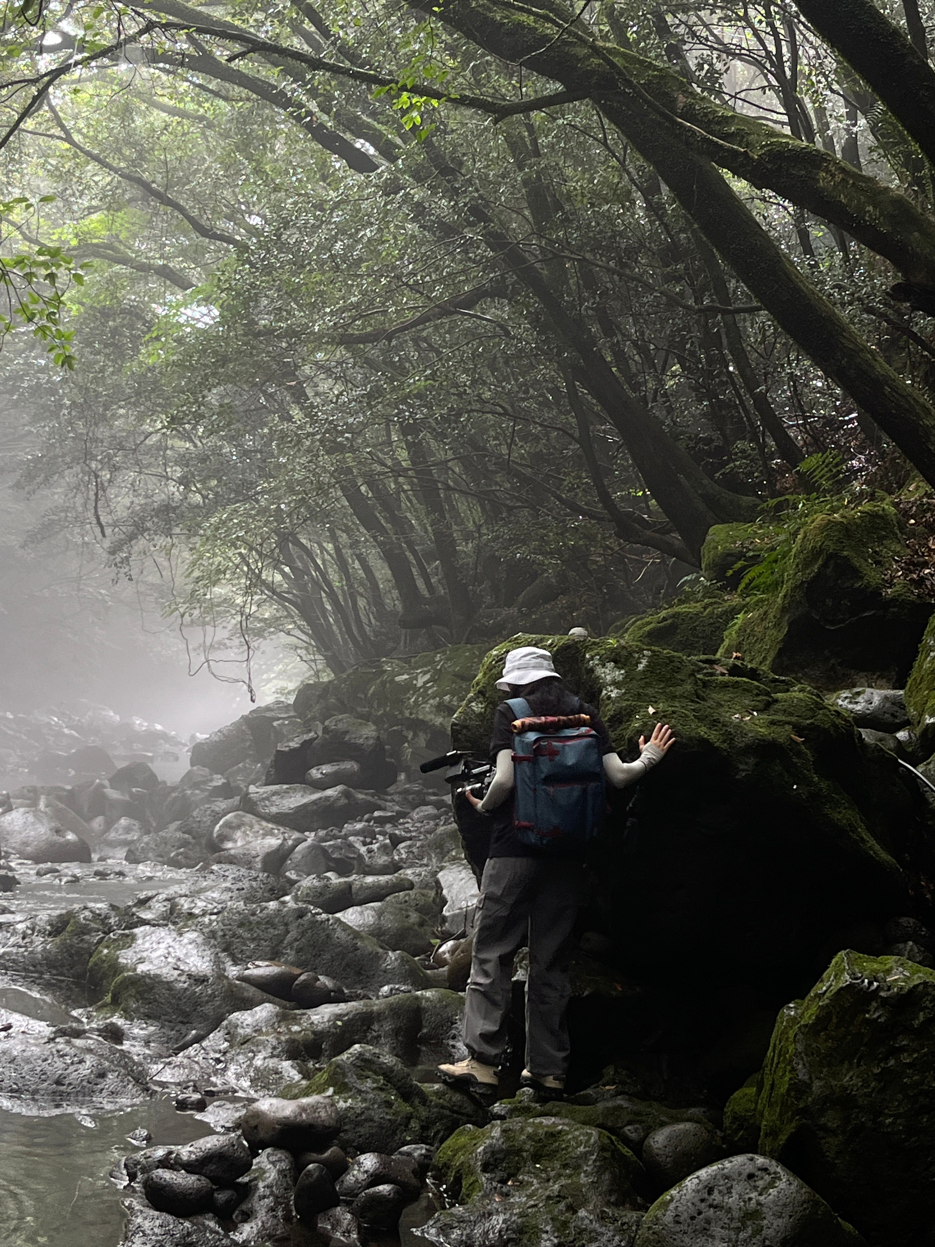 A person with a camera standing beside a rocky, mist-covered river in a dense forest.