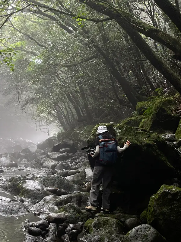 A person with a camera standing beside a rocky, mist-covered river in a dense forest.