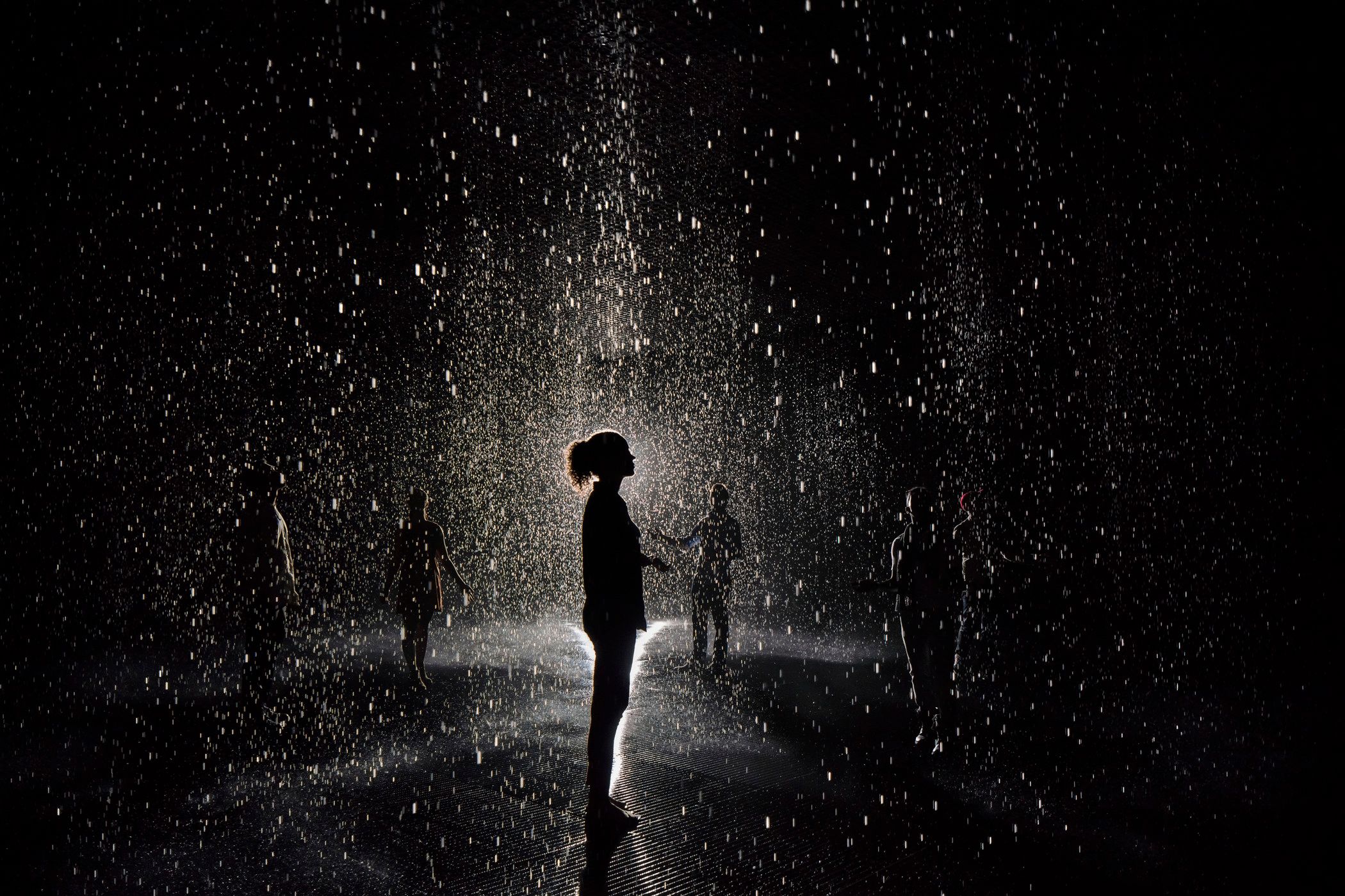 A dark room where silhouettes of multiple individuals are made visible by a spotlight. The central silhouette is prominent...