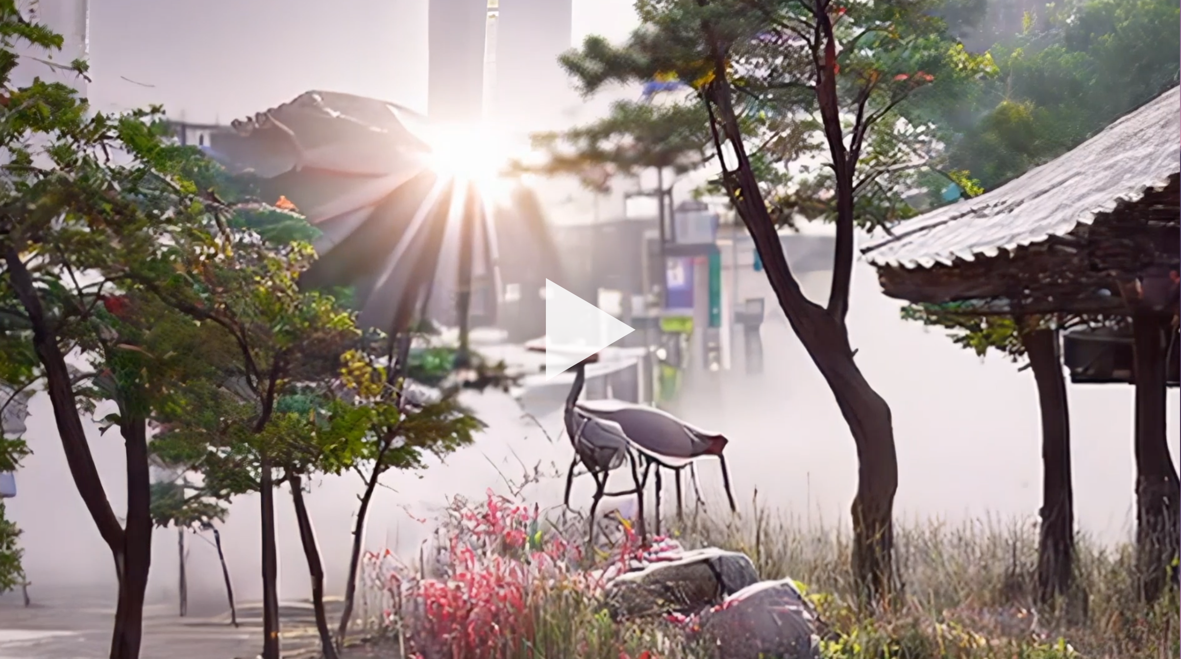 A video showcasing a variety of botanical elements under a sunny sky with light streaming through the trees.