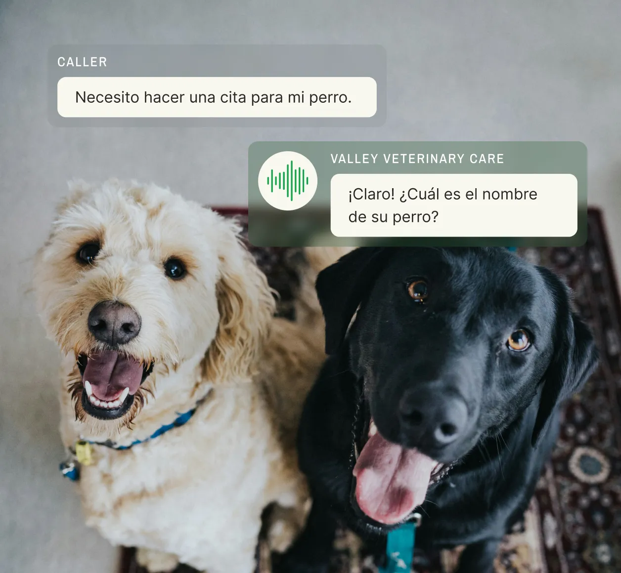 Spanish-speaking answering service scheduling veterinary appointment, featuring two happy dogs - one white and one black