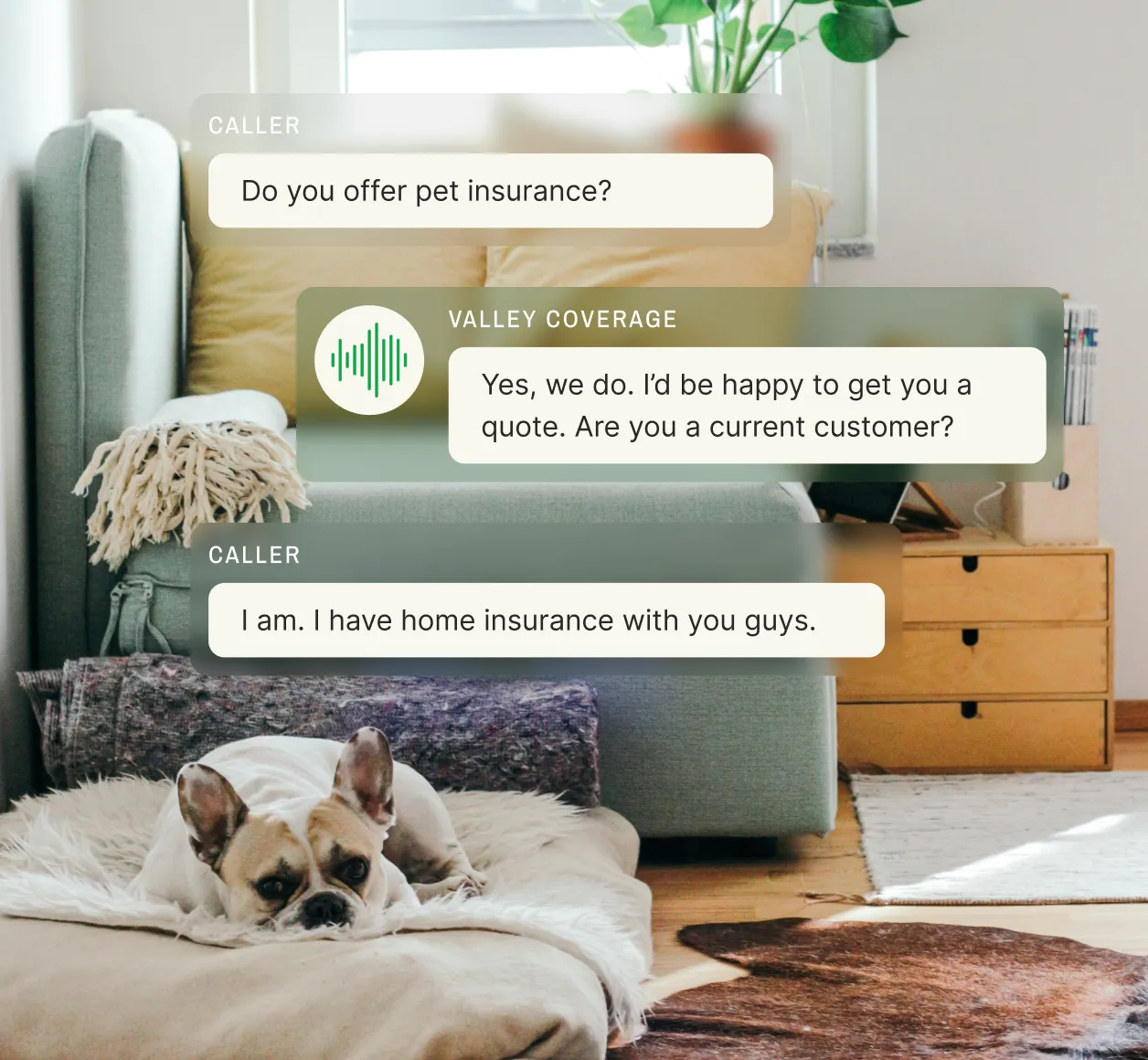 Pet insurance consultation through insurance agency answering service, featuring French Bulldog in home setting with Valley Coverage's professional answering service for insurance company