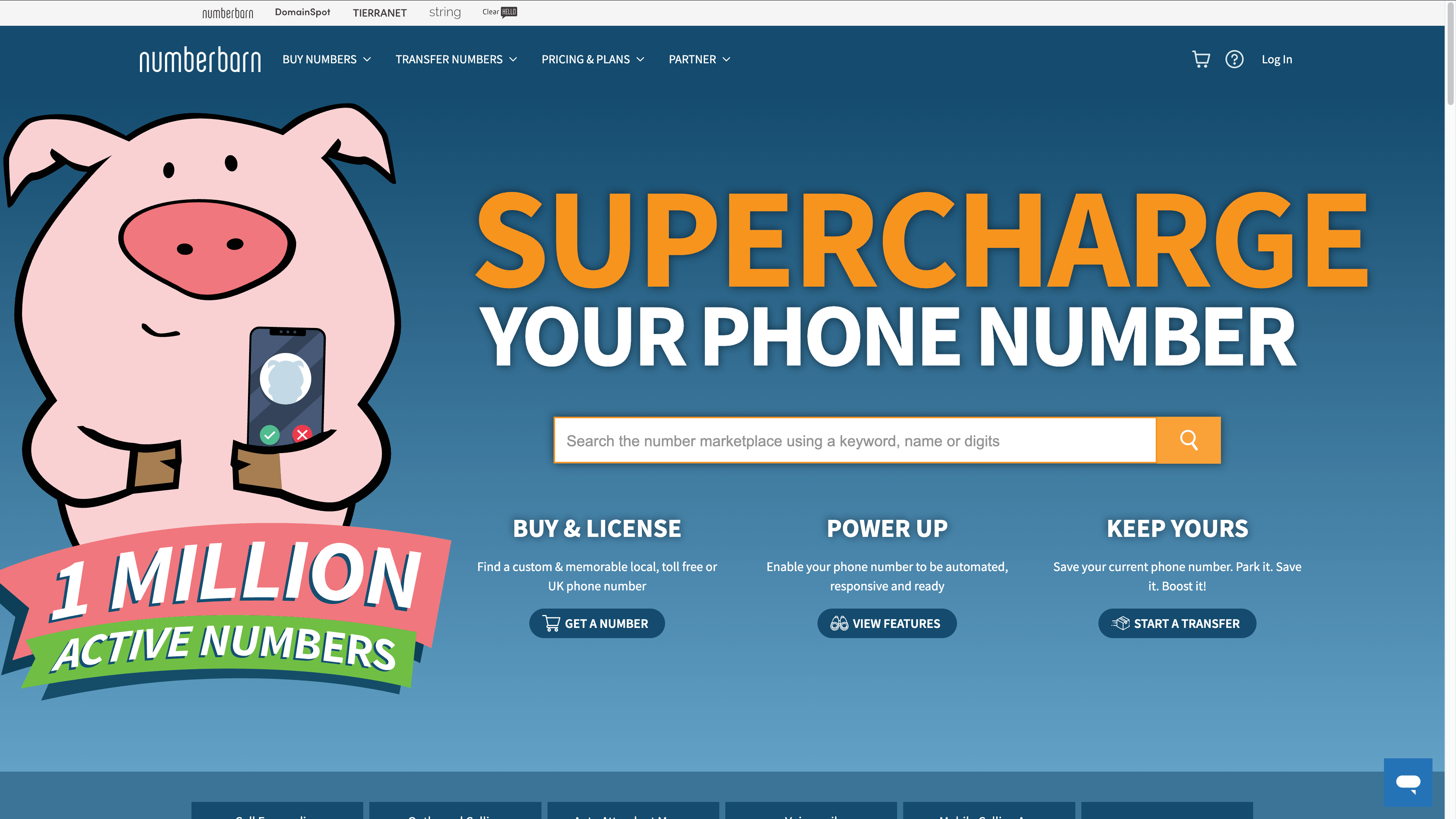 Screenshot of NumberBarn, a good FreedomVoice alternative if you just need to park a number