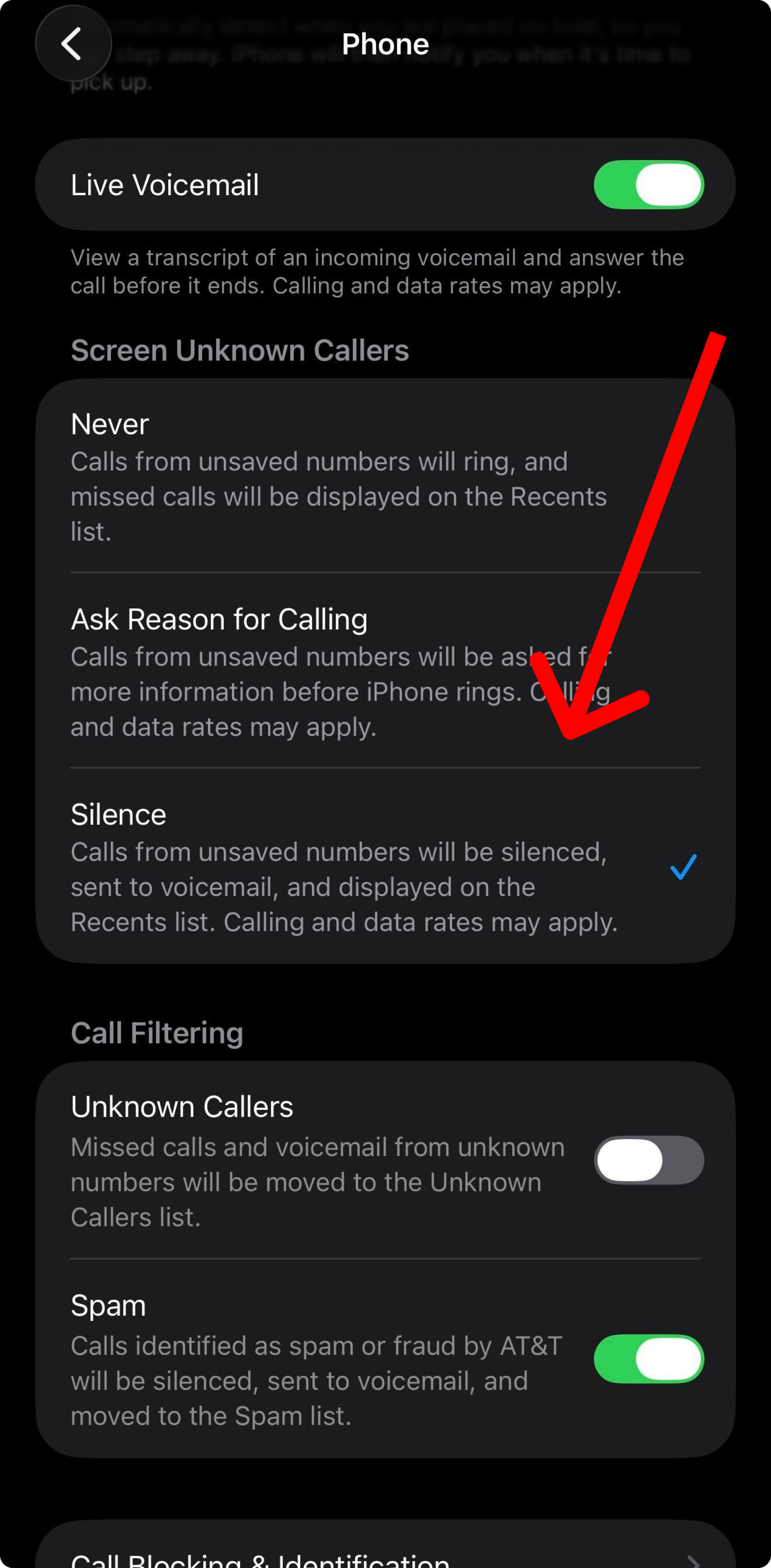 Example of how to turn on call screening with an iPhone in iPhone settings