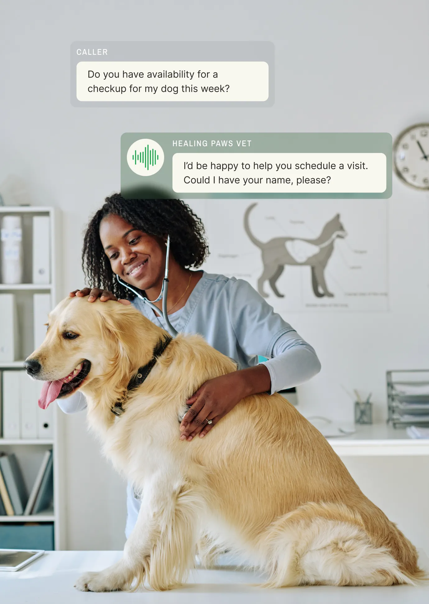 Veterinary assistant with stethoscope examining Golden Retriever while answering service schedules patient appointments at Healing Paws Vet clinic