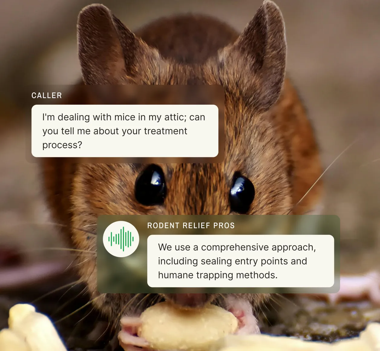 A pest control call center responding to a customer asking about humane treatment methods for mice in the attic, emphasizing sealing entry points and humane trapping.