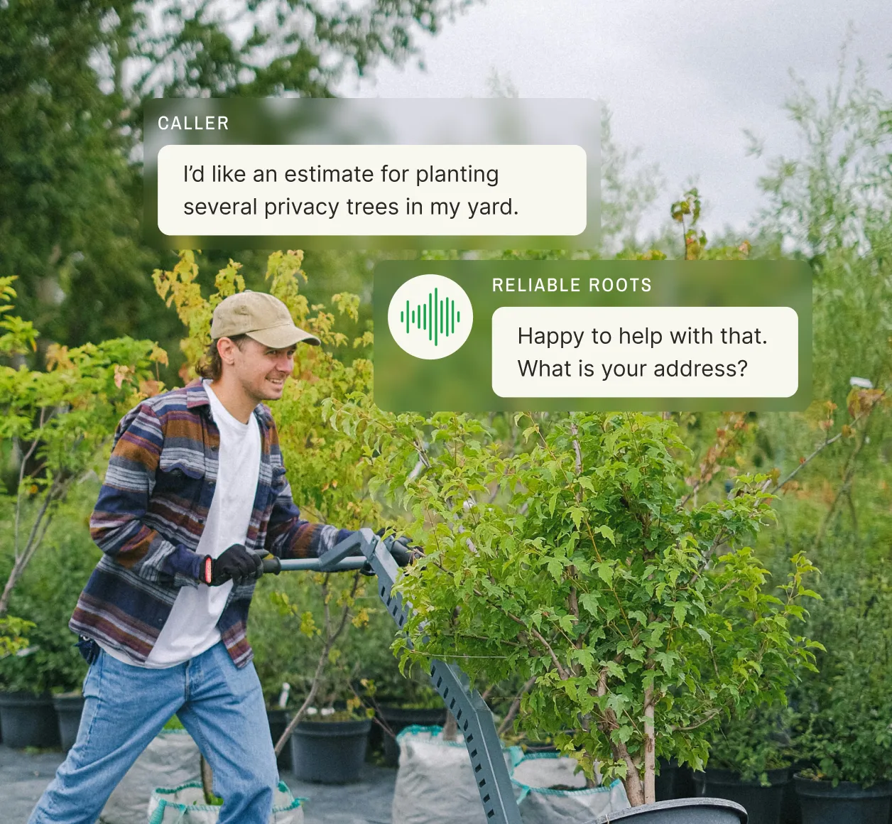 Landscape contractor pruning privacy trees with answering service managing customer communication for estimate request