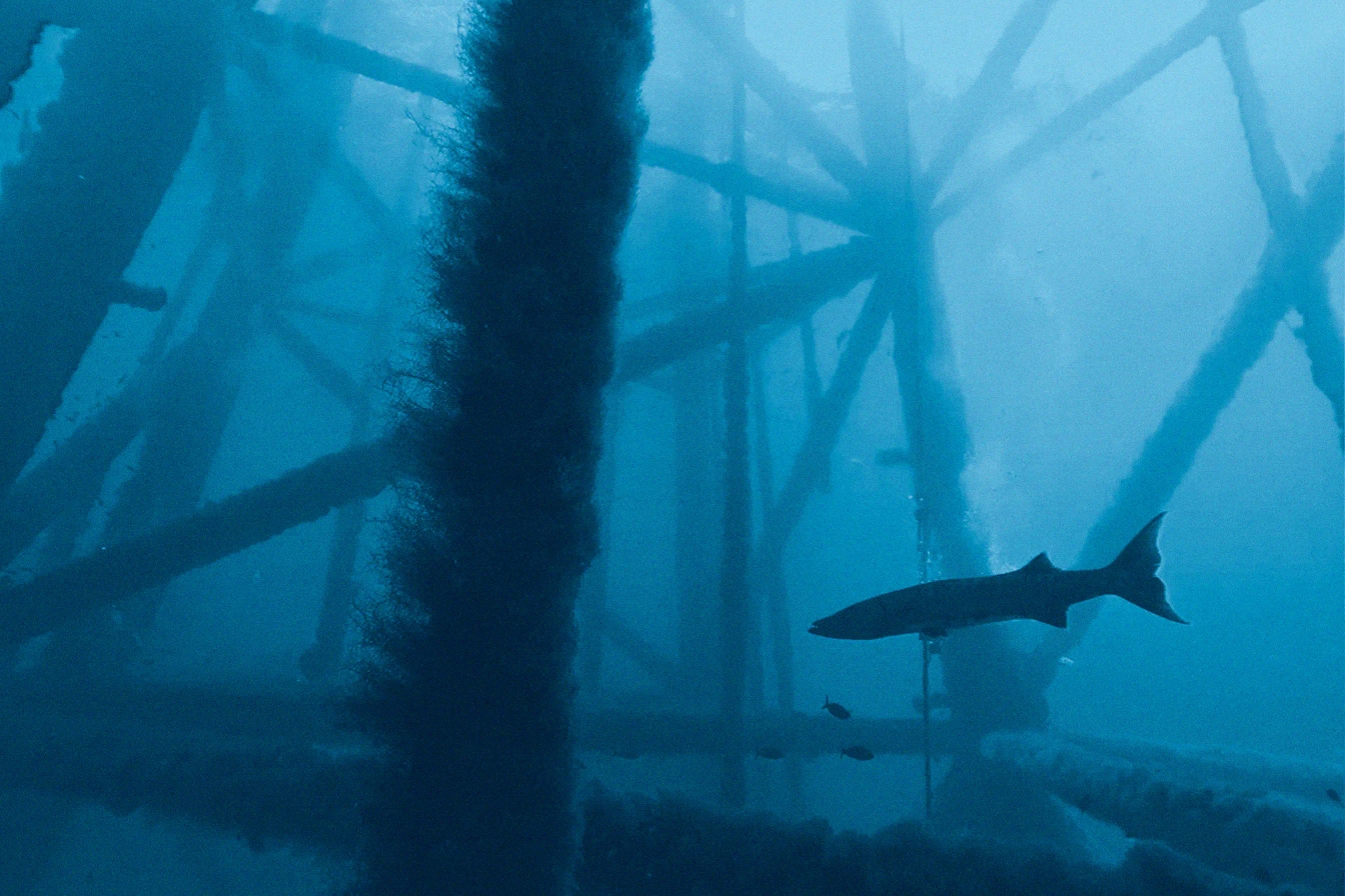 Undersea Infrastructure Protection