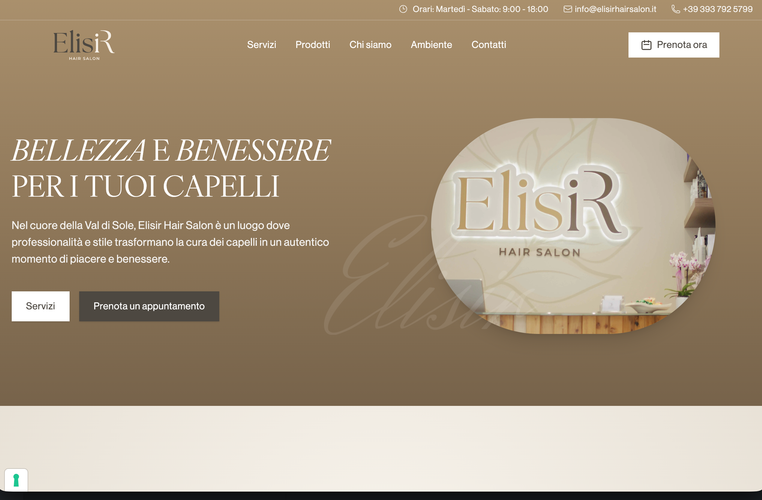 Hair salon website — 1