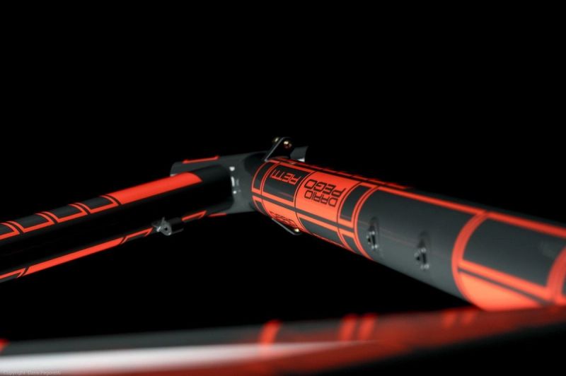 Pegoretti Catch the Spider graphic finish