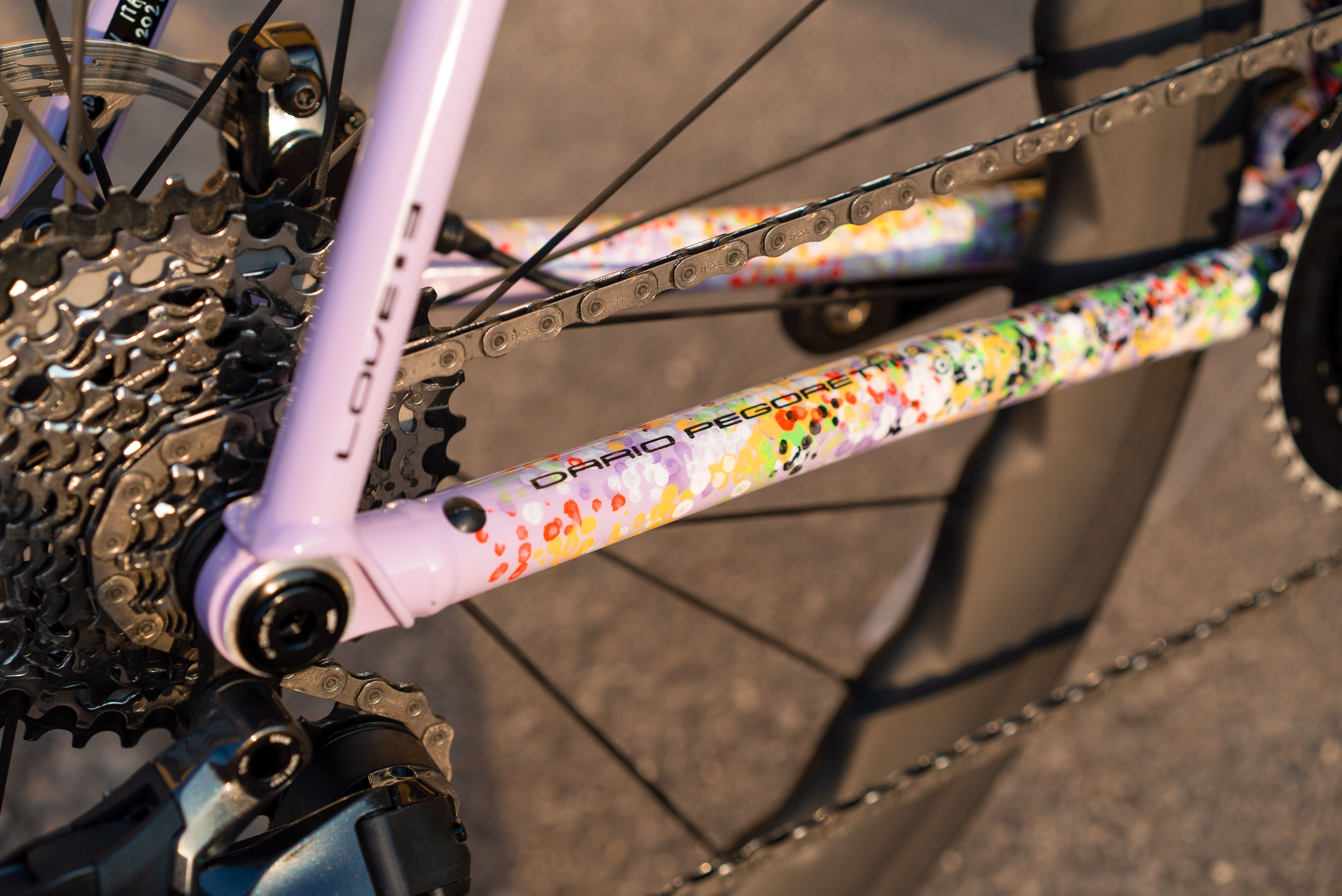 Chainstay and cassette, Pegoretti lettering on the stay