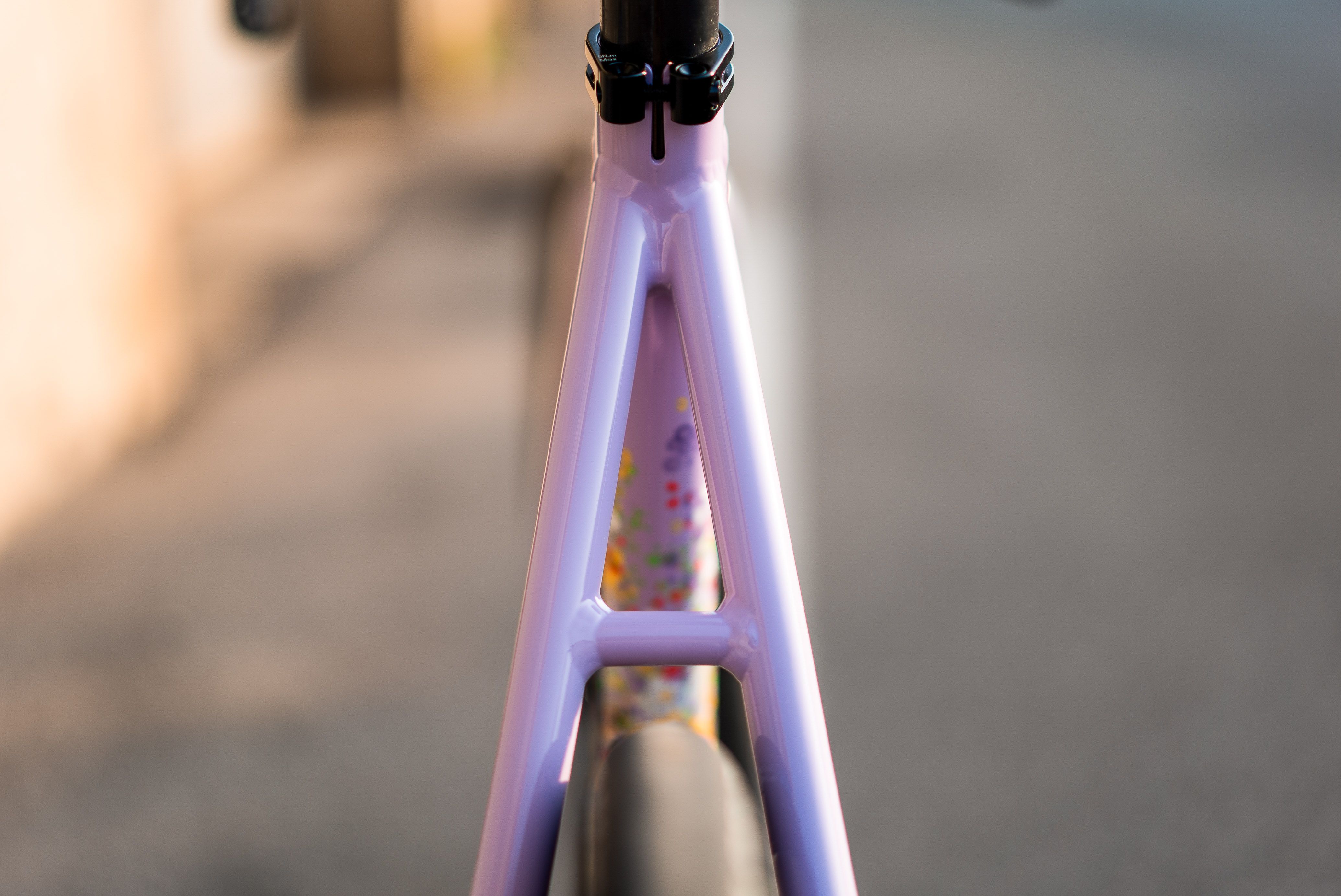 Seat stays and seat clamp of the Love #3