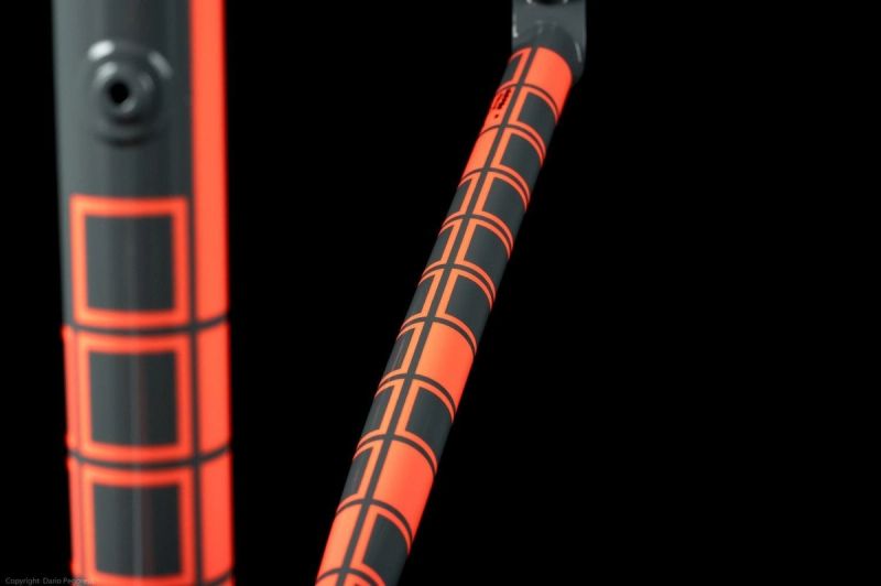 Pegoretti Catch the Spider graphic finish