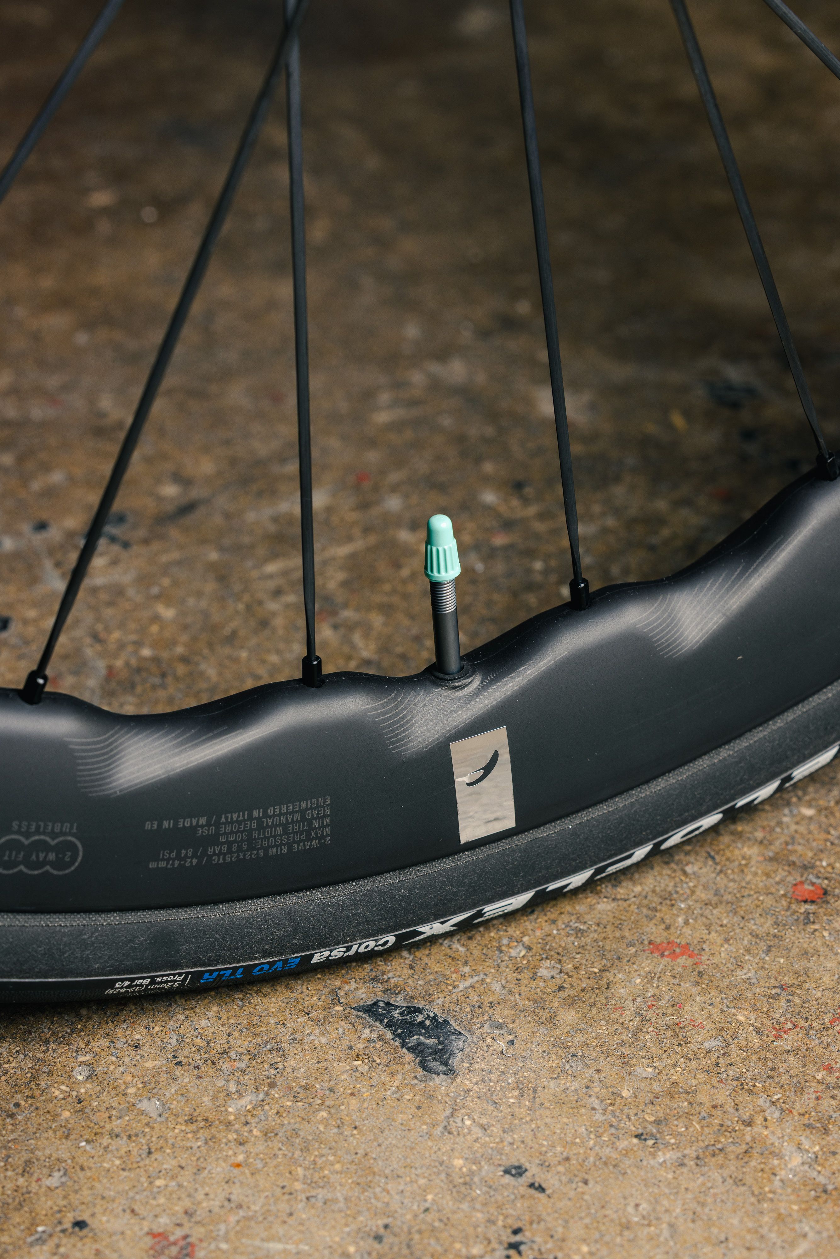 Ergon inner tubes - not just a pretty valve cap. They're extremely light and made in the EU.