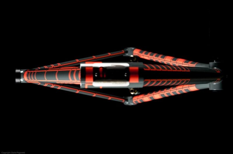 Pegoretti Catch the Spider graphic finish