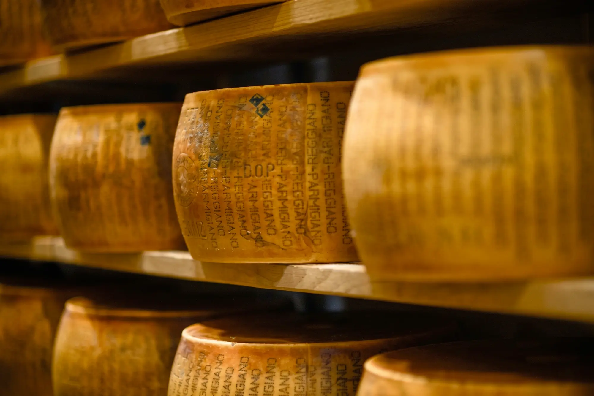 Formaggio parmigiano Reggiano conservato in cantina stagionato