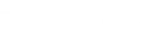 logo white borbonese