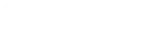 logo sanity