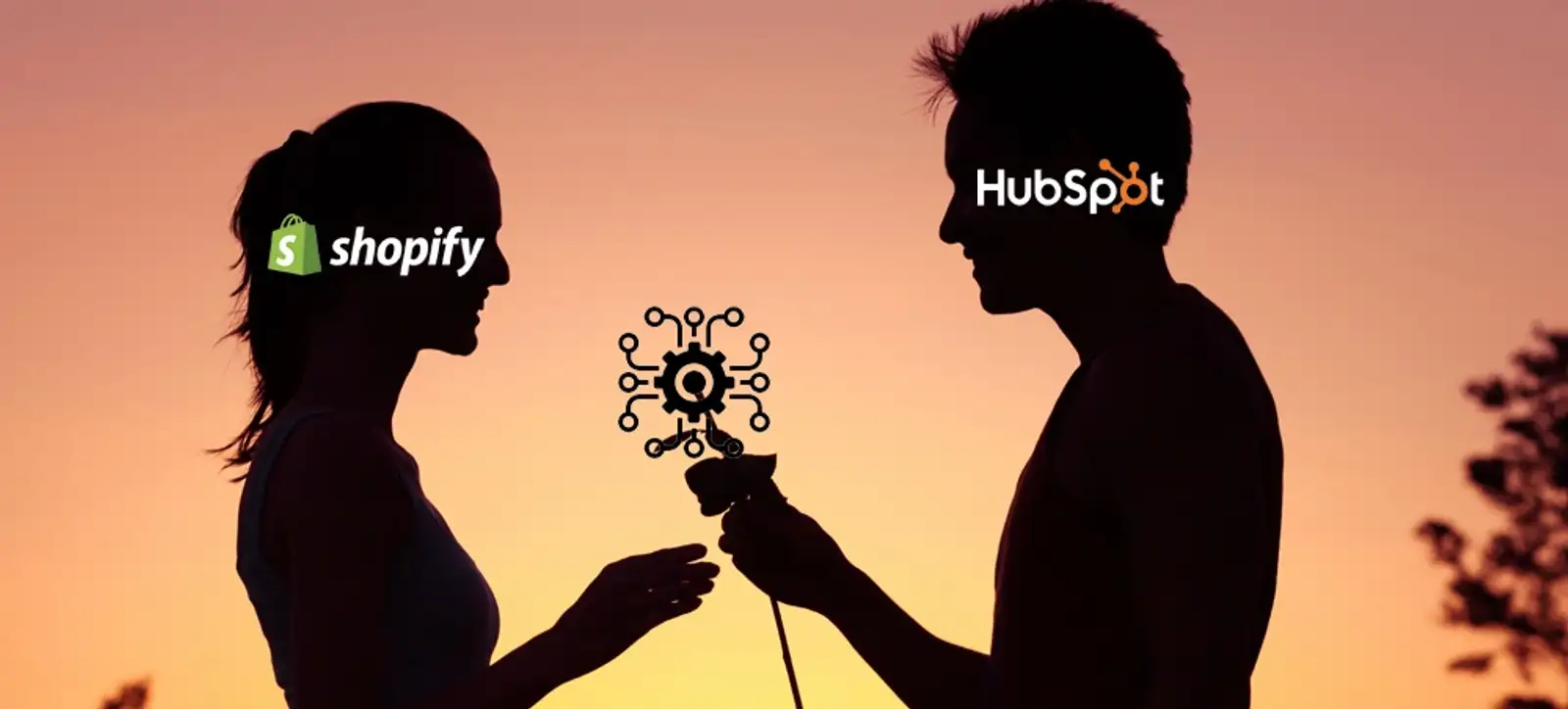 shopify hubspot integration.jpg