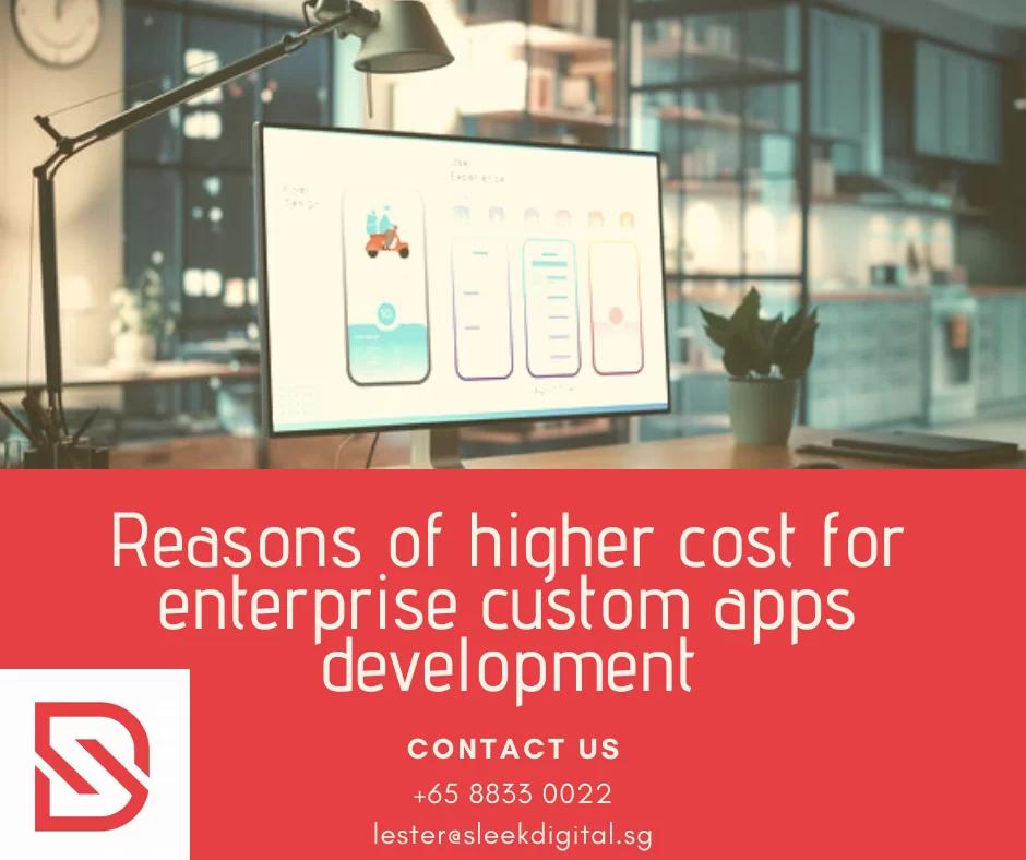 Reasons of higher cost for enterprise custom apps development