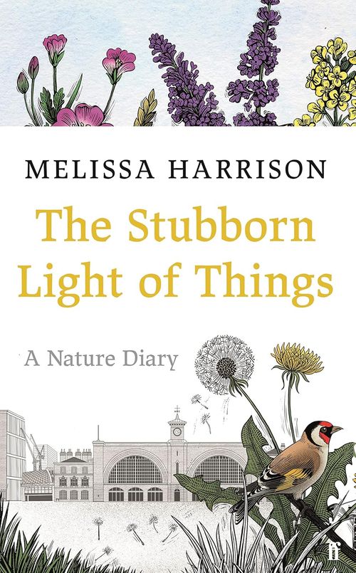 image for work: The Stubborn Light of Things
