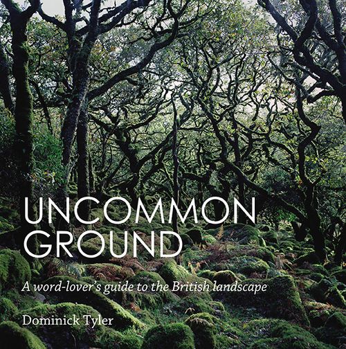 image for work: Uncommon Ground