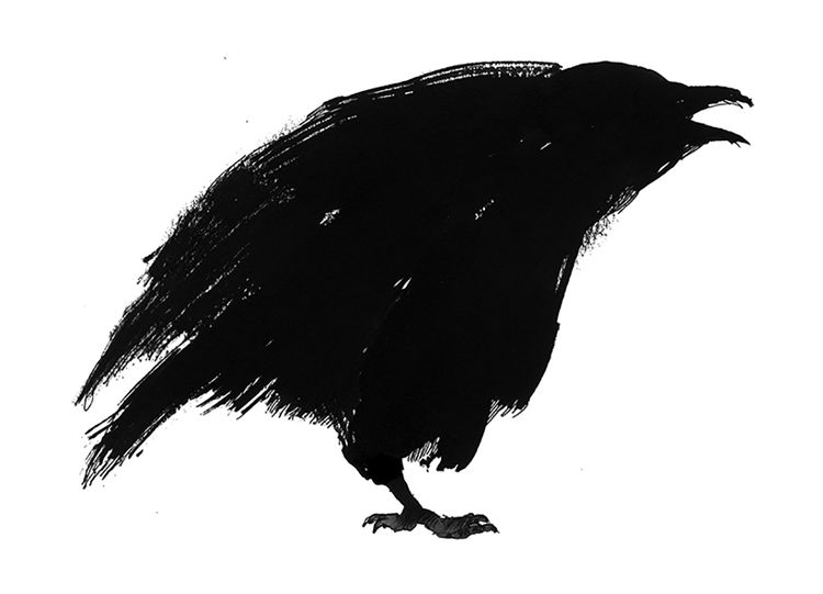image for work: Illustrations for Grief is the Thing With Feathers
