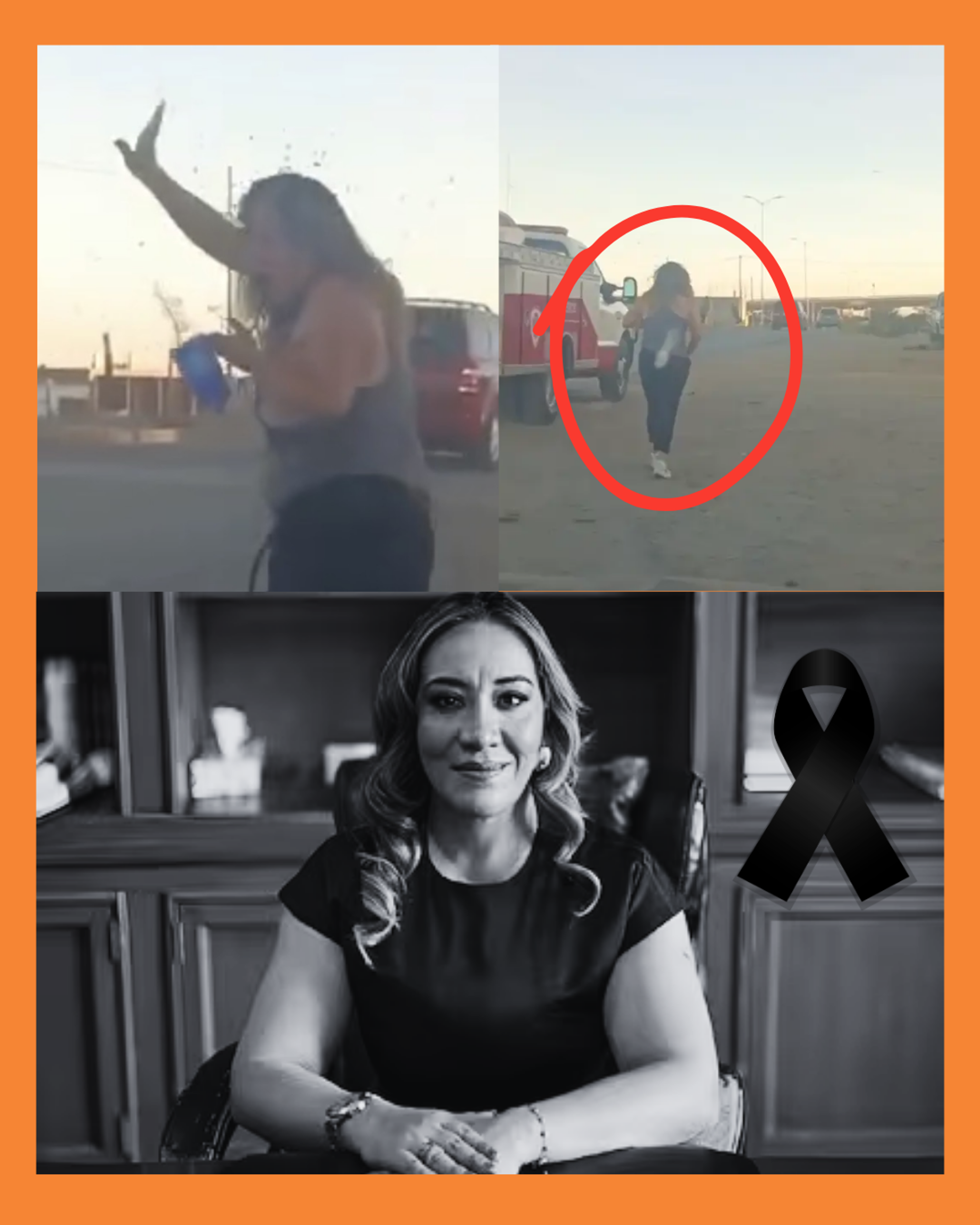 ataque de abejas