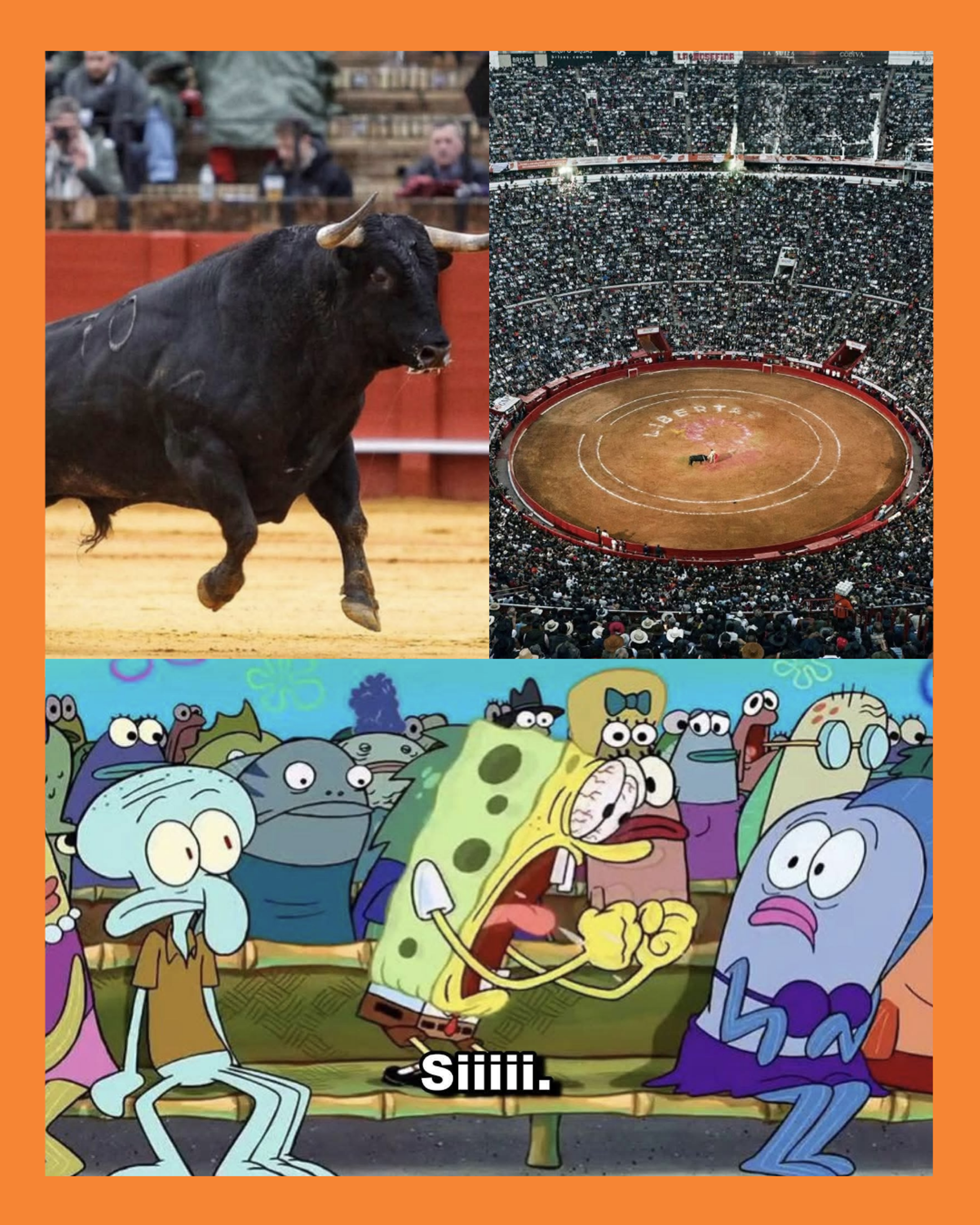 corrida de toros