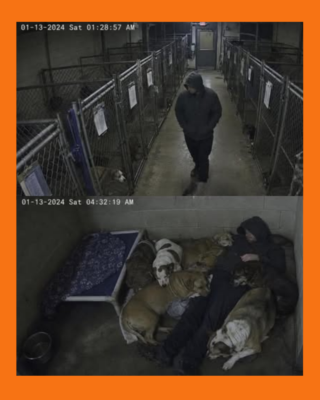 hombre duerme con perritos