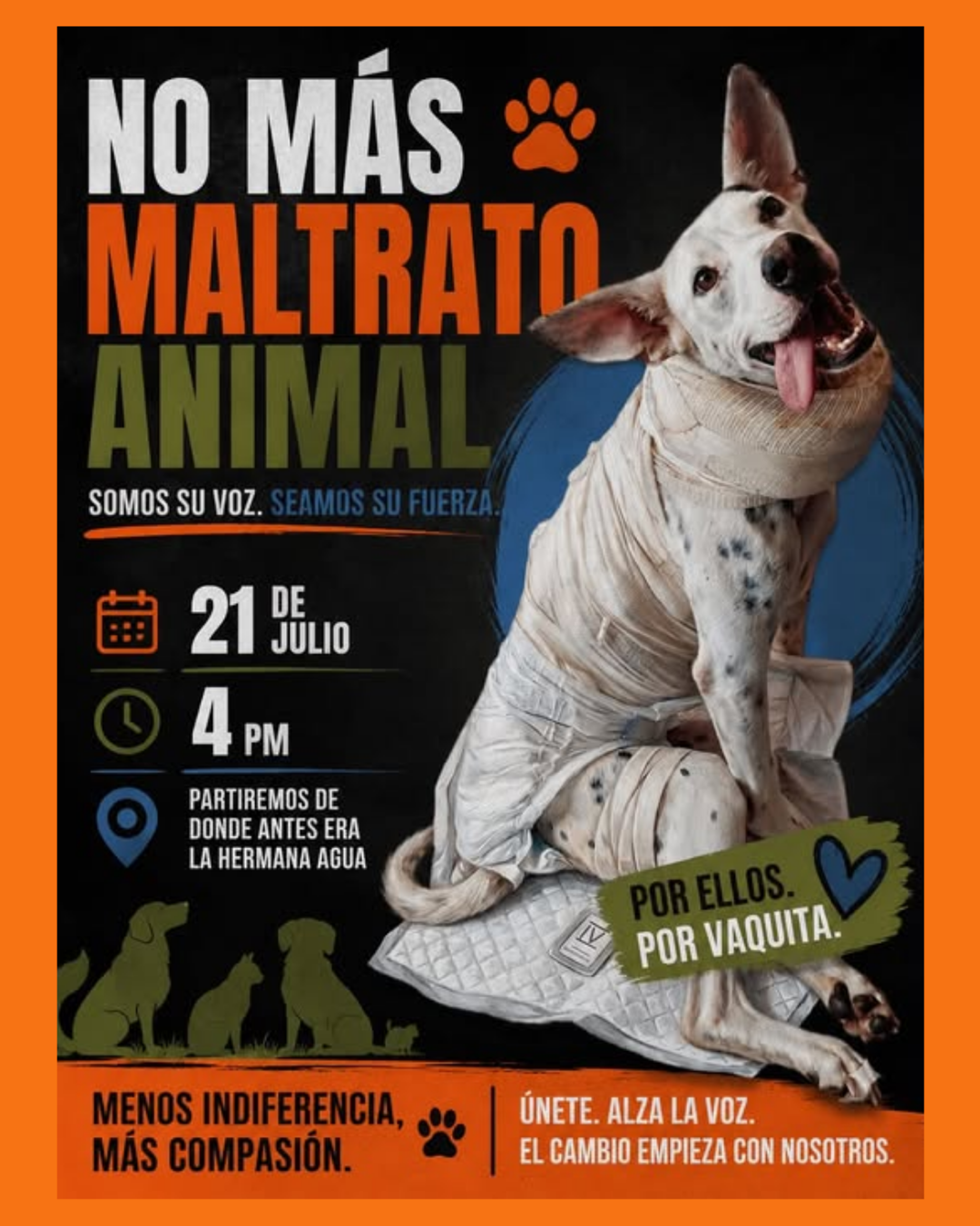 marcha contra el maltrato animal