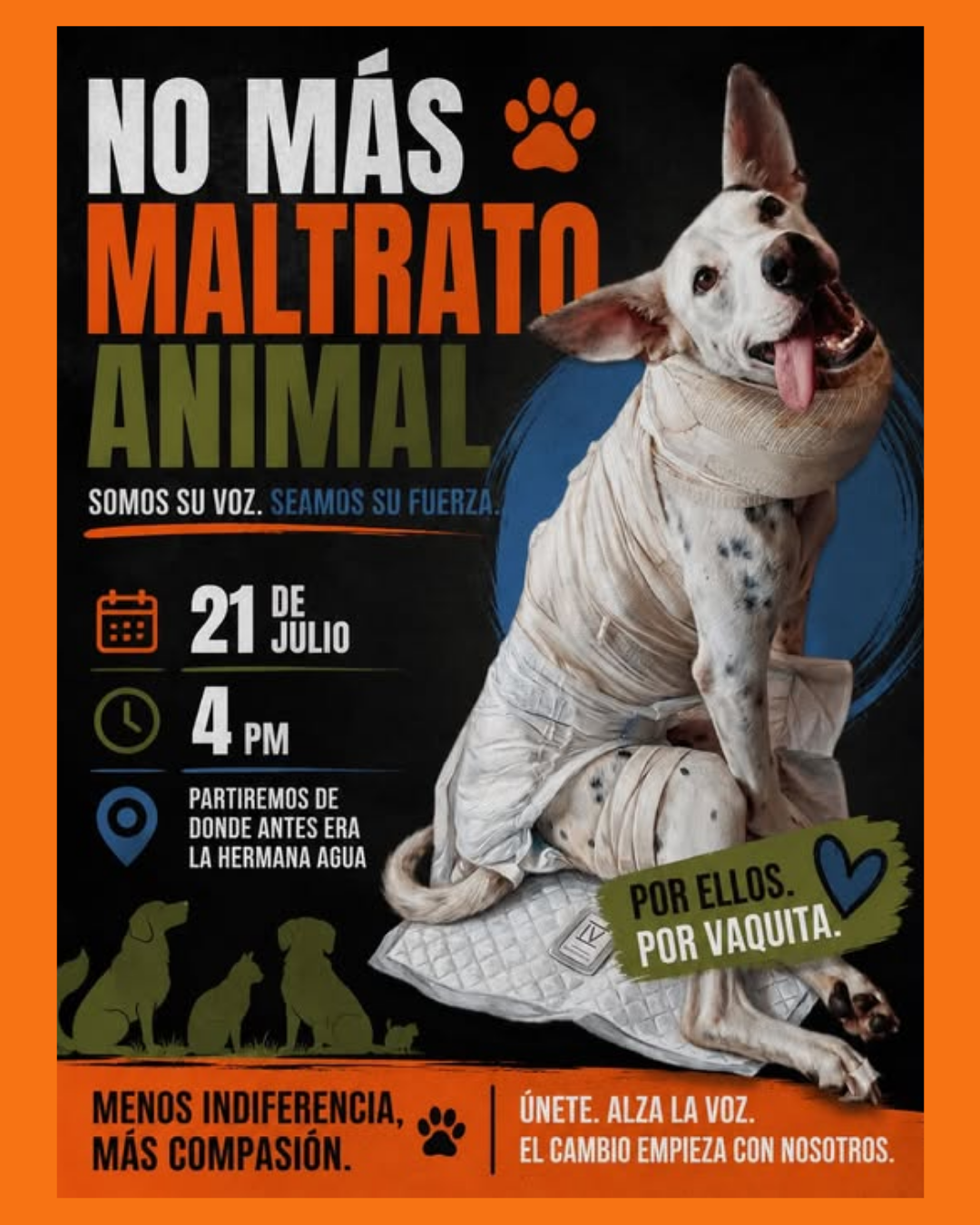 marcha contra el maltrato animal