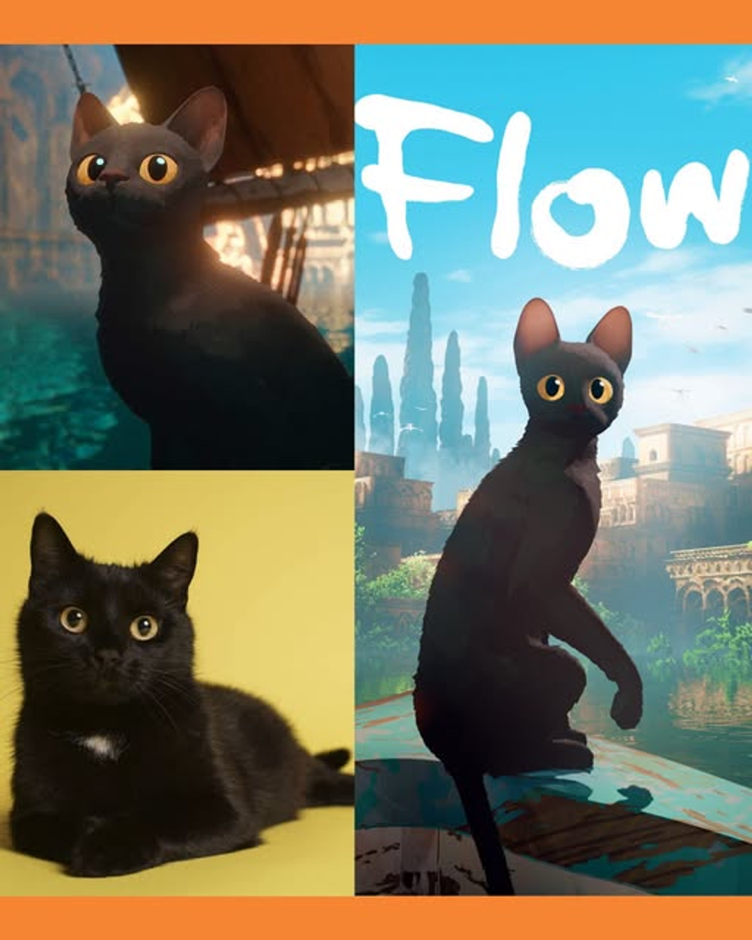 gatos negros