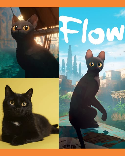 gatos negros