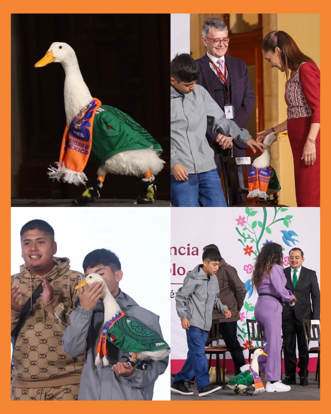 pato merlin