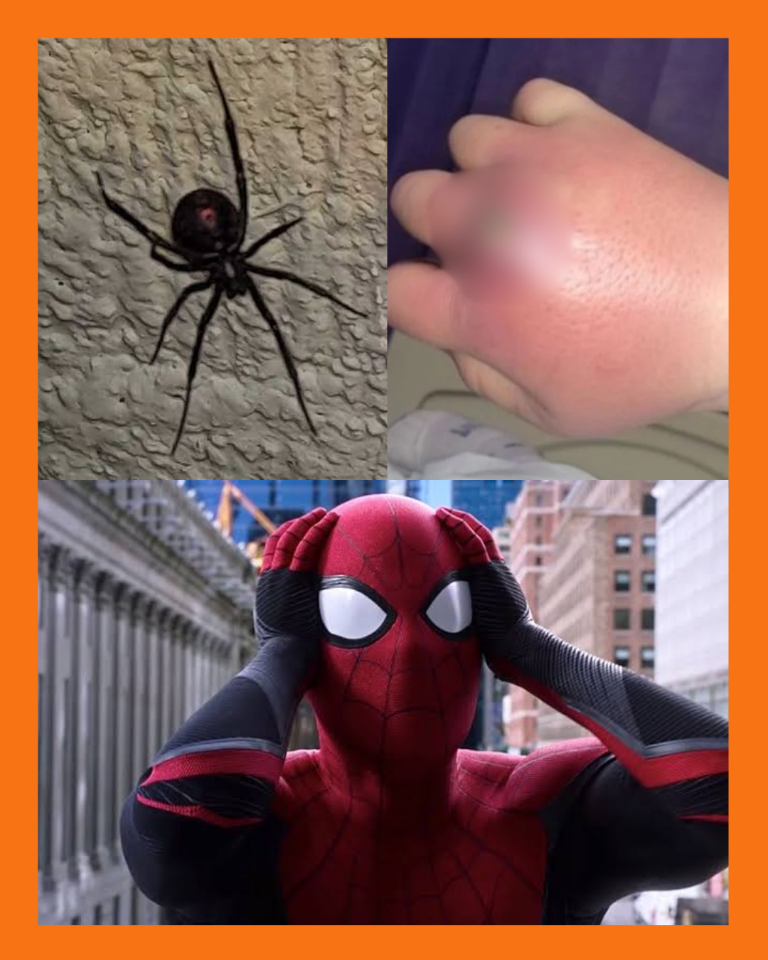 spiderman