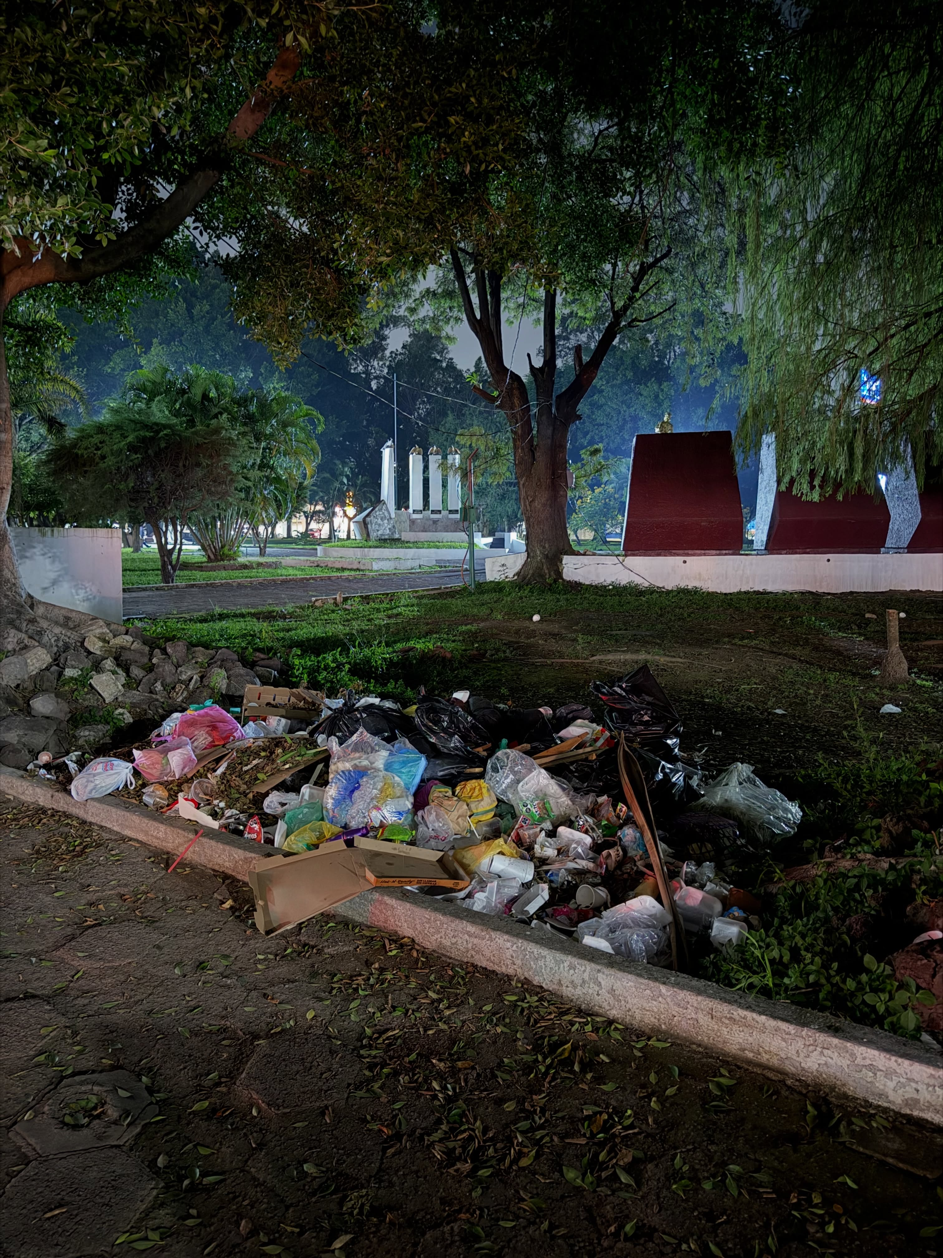 basura tepic