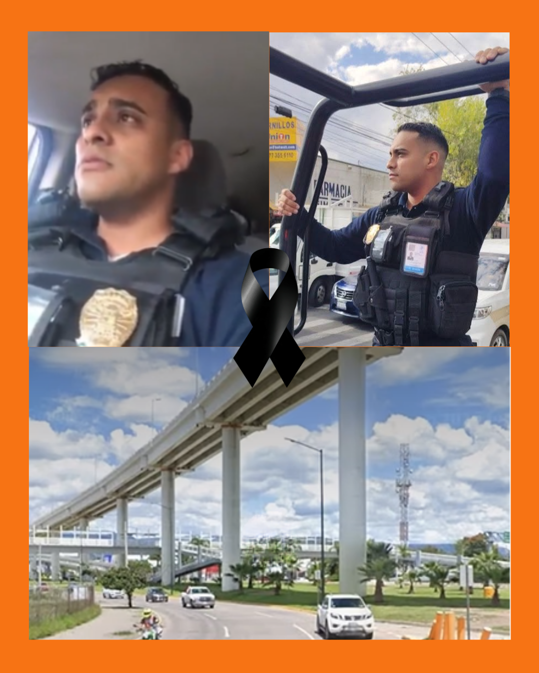 policia leon