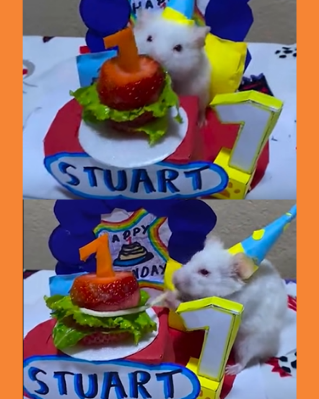 cumpleaños a hámster