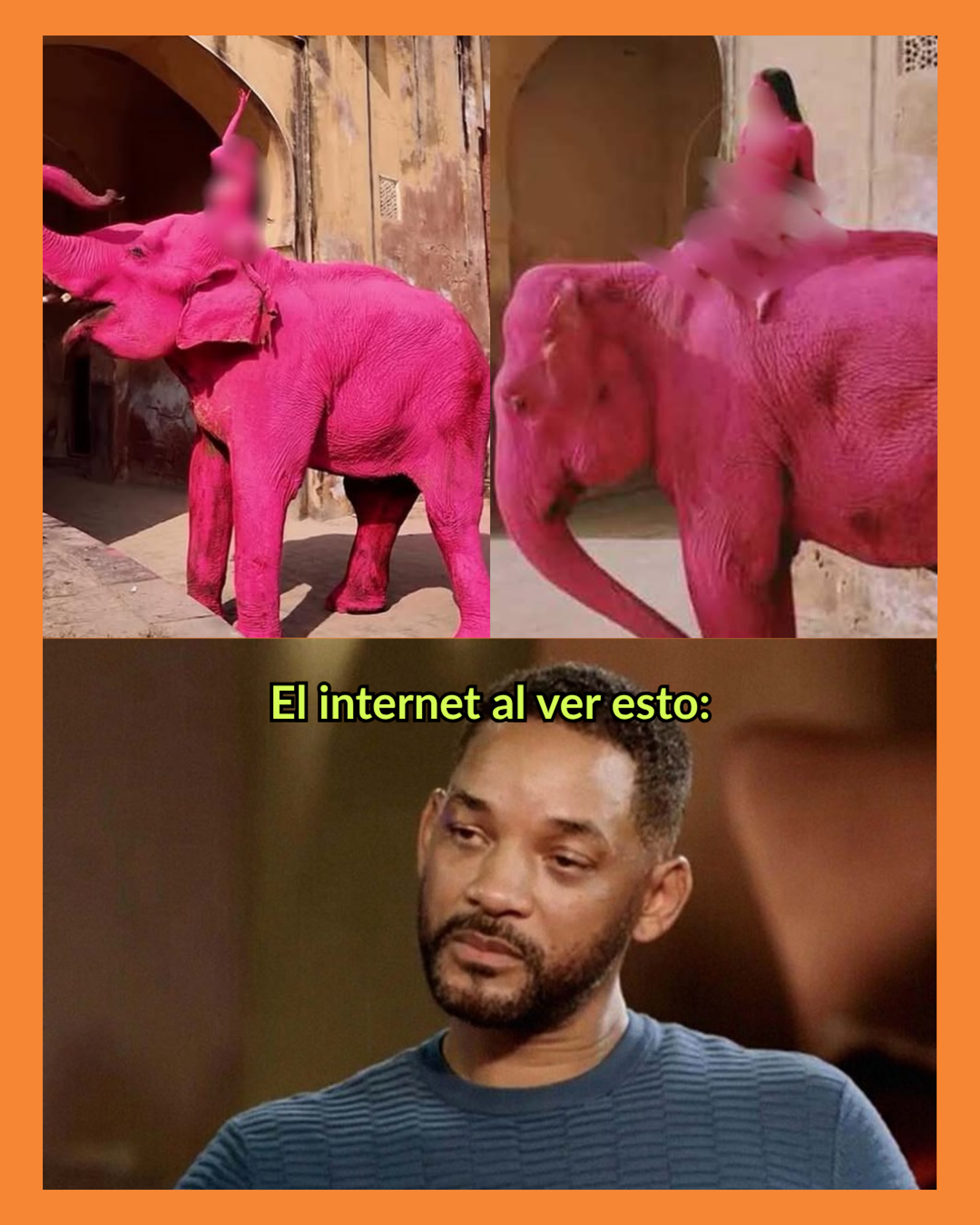elefante rosa