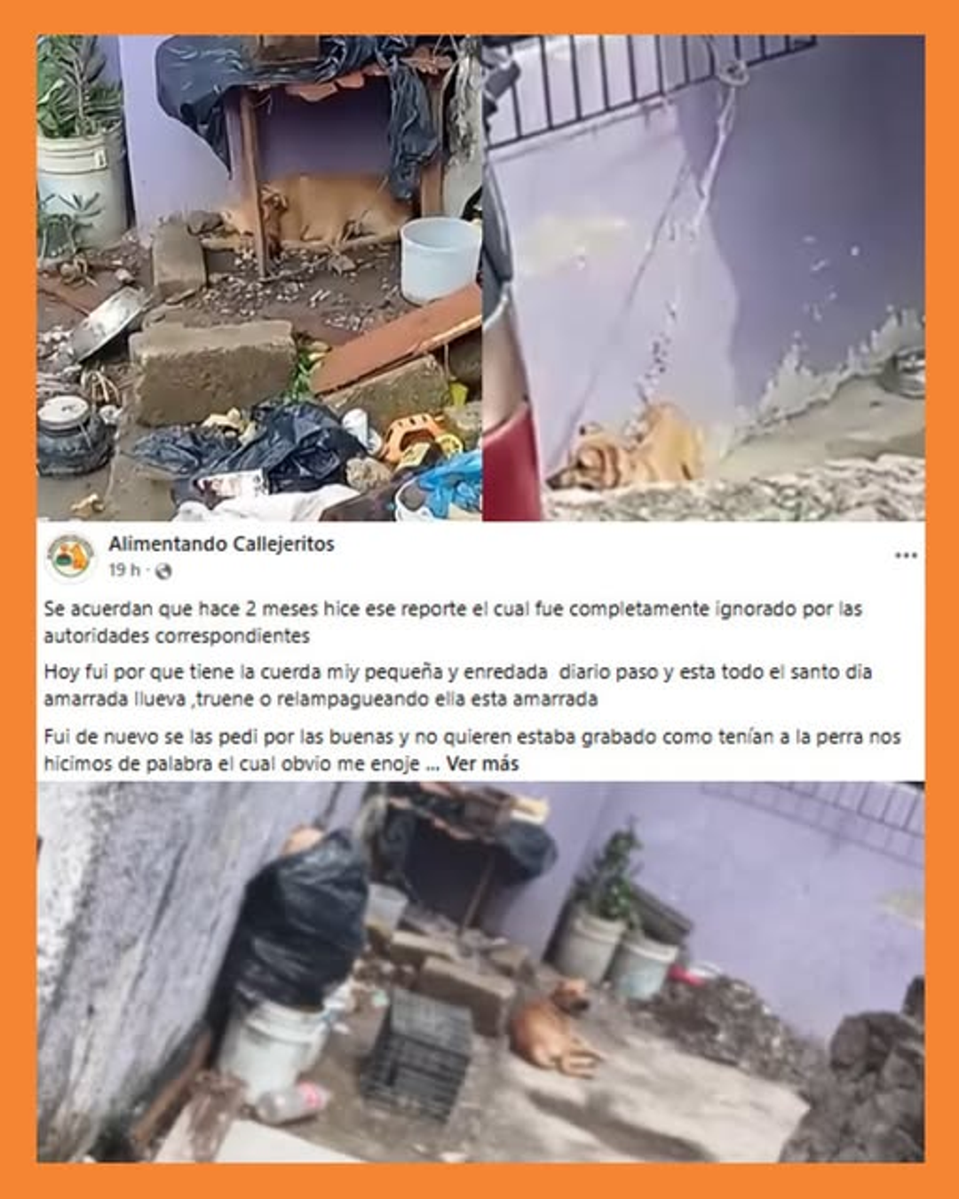maltrat0 anim4l Tepic