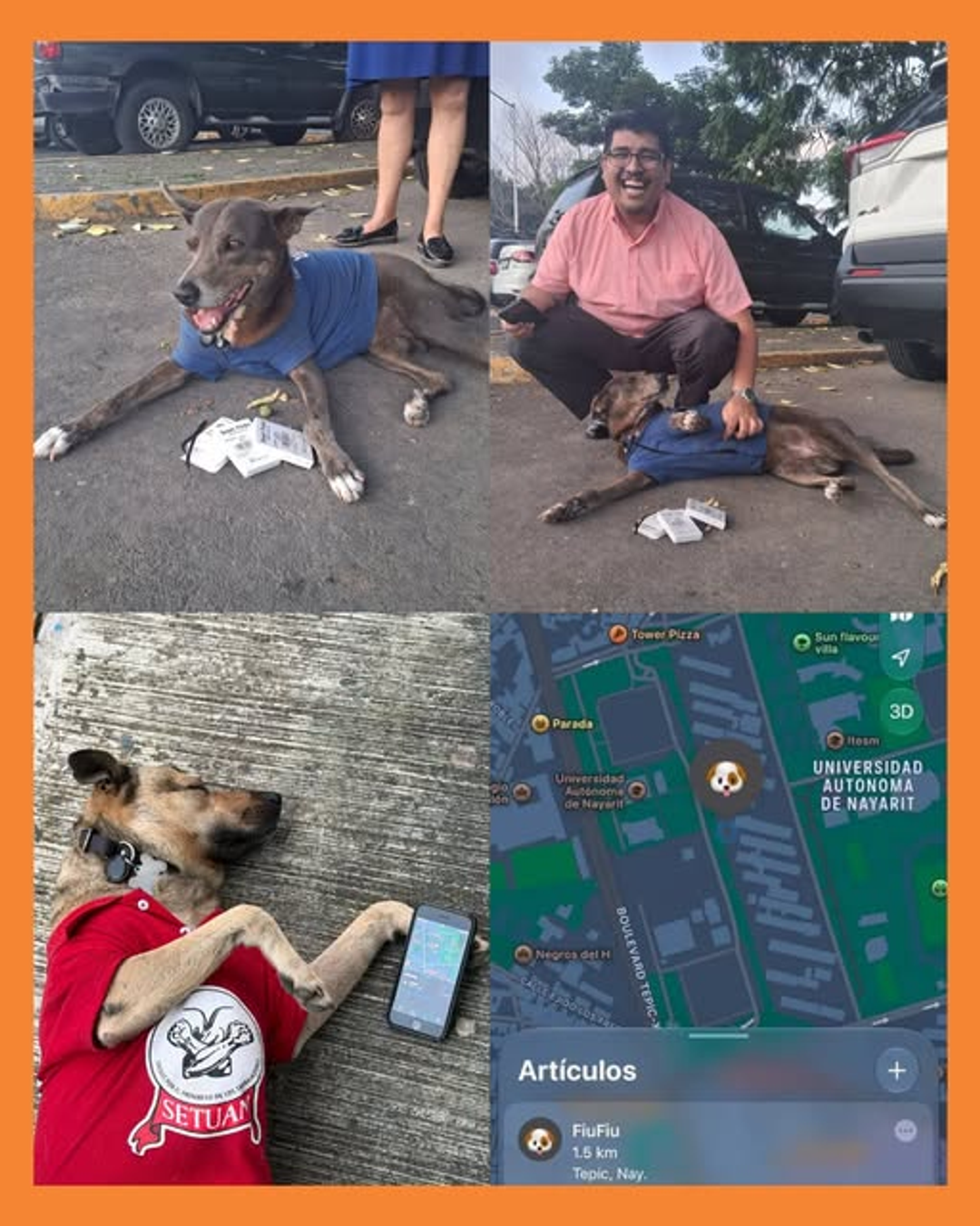 perritos de la uan