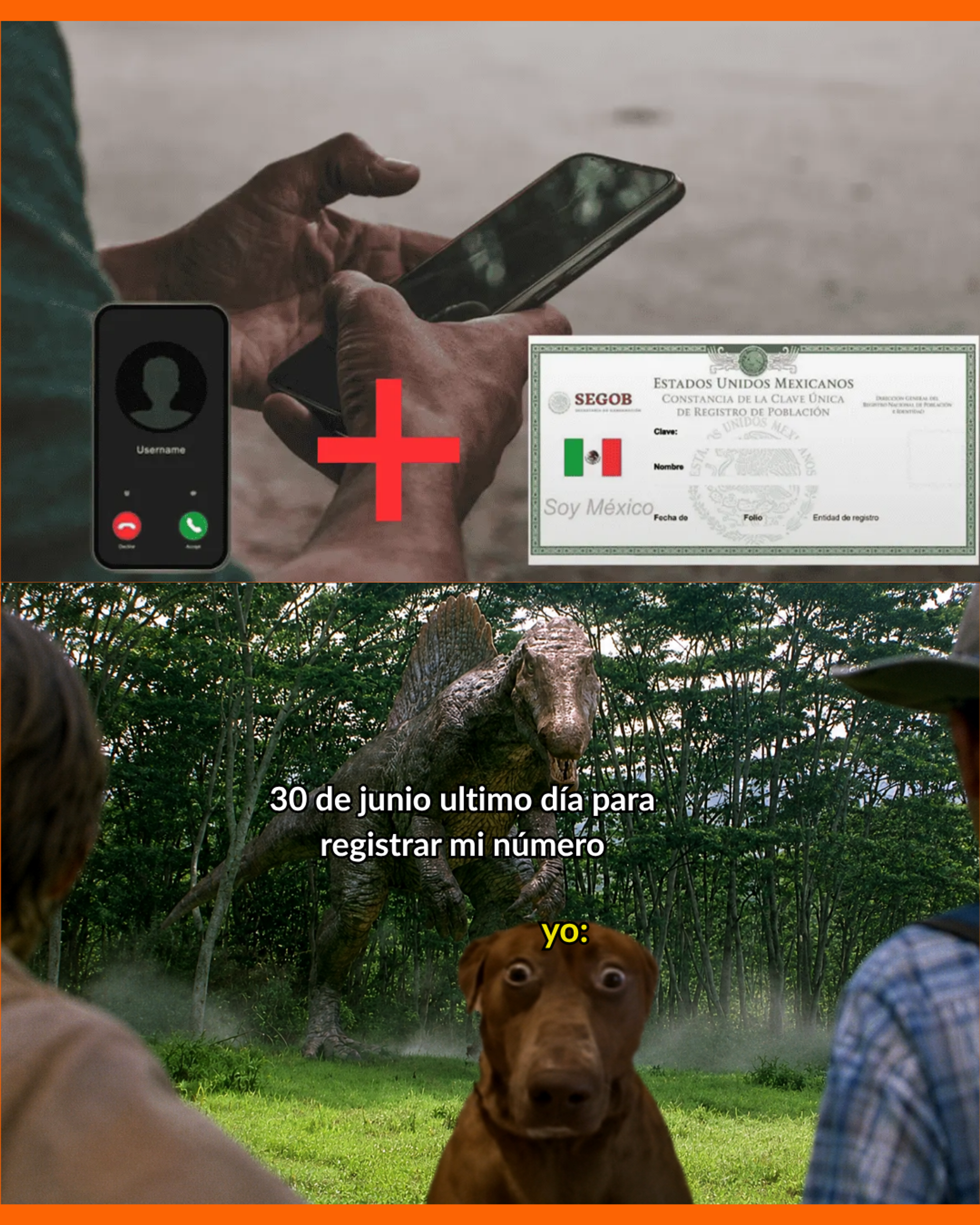 registro de la curp