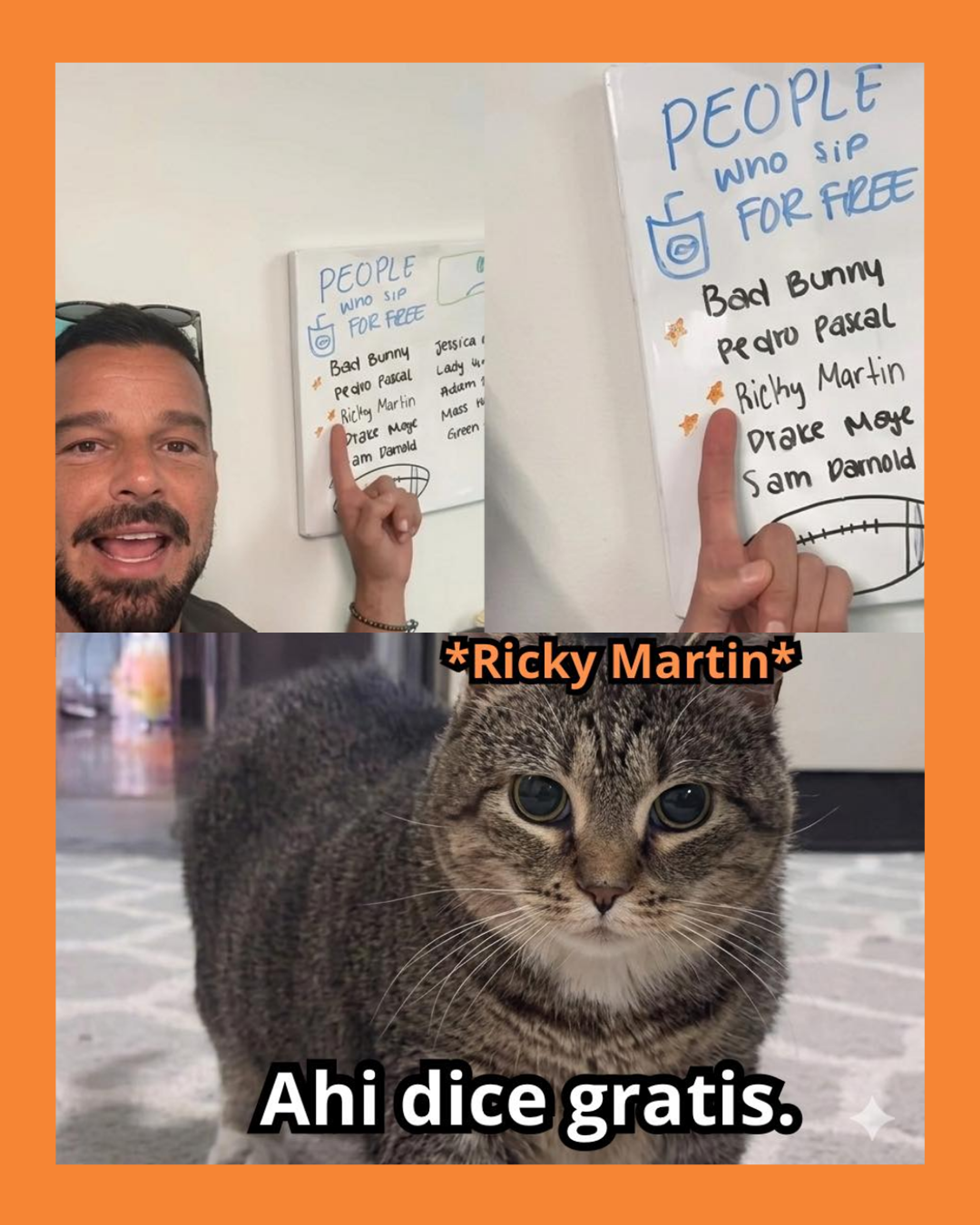 ricky martin